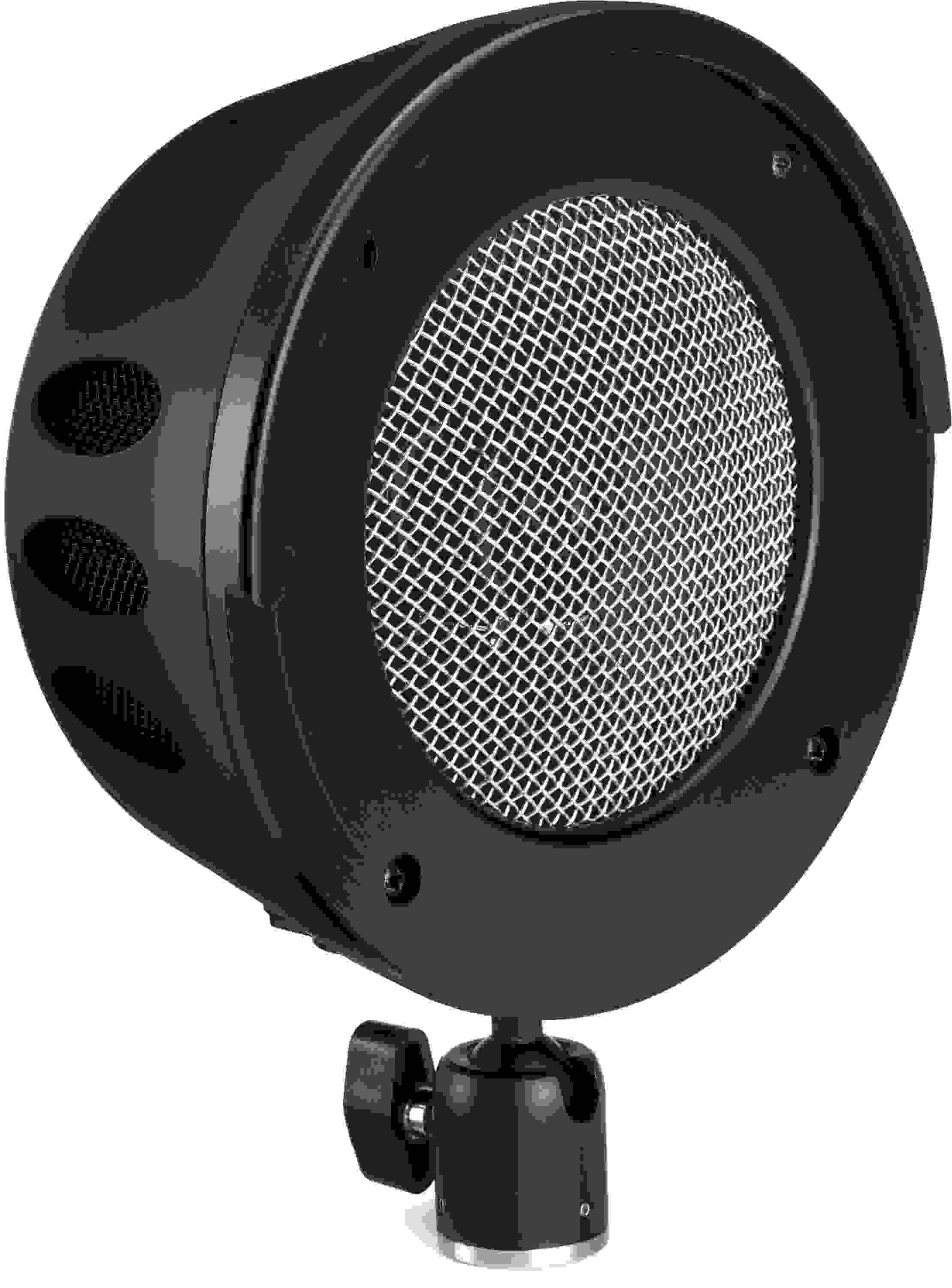 Kicktone Multipurpose Dynamic Fullrange Microphone Sweetwater