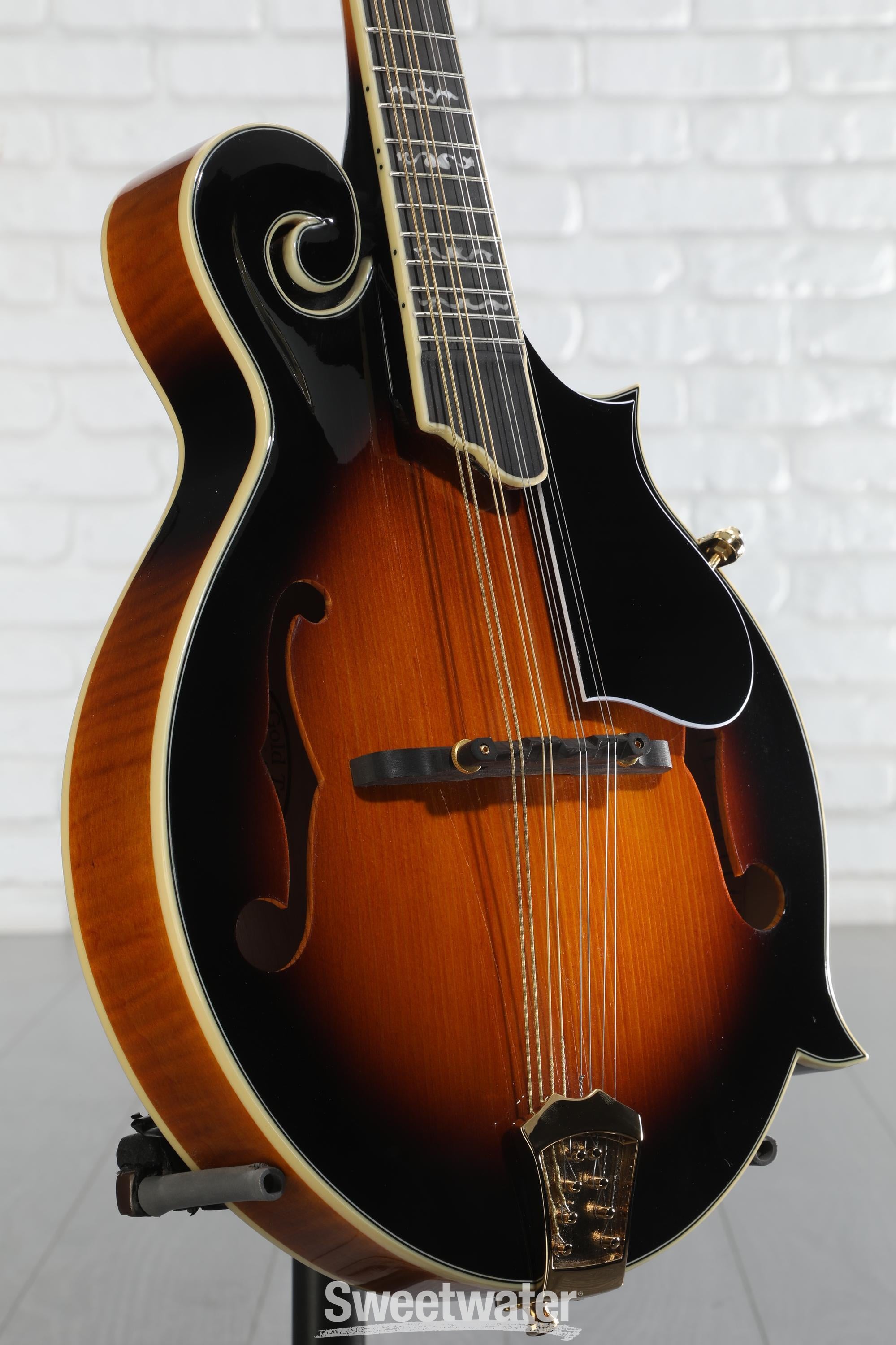 フラットマンドリン Gold Tone GM-70+ Amazon.com: Gold Tone GM-70 F-Style Mandolin (Two Tone