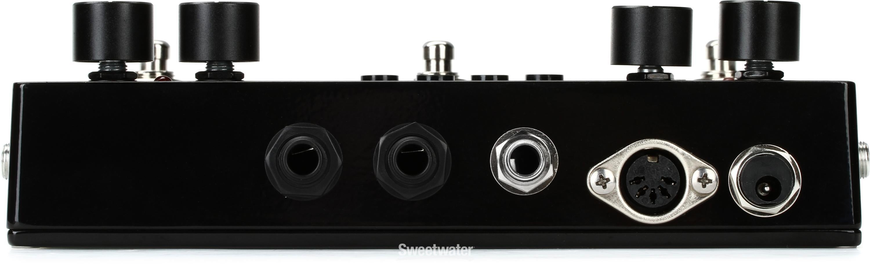 Pigtronix Infinity Looper Pedal Reviews | Sweetwater