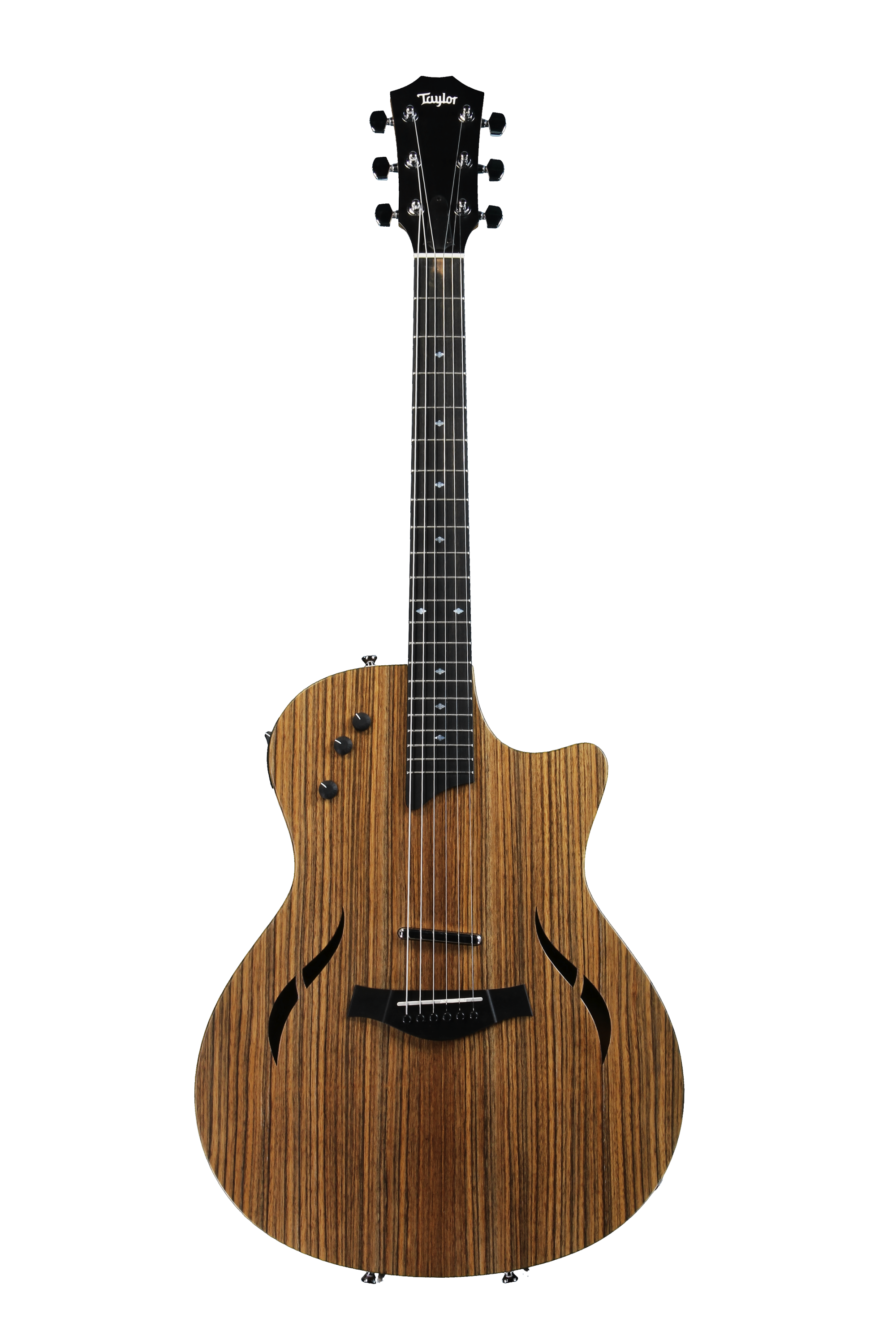 MIYAVI世界デビュー時のT5改良品Taylor T5z ハードケース付 MIYAVI