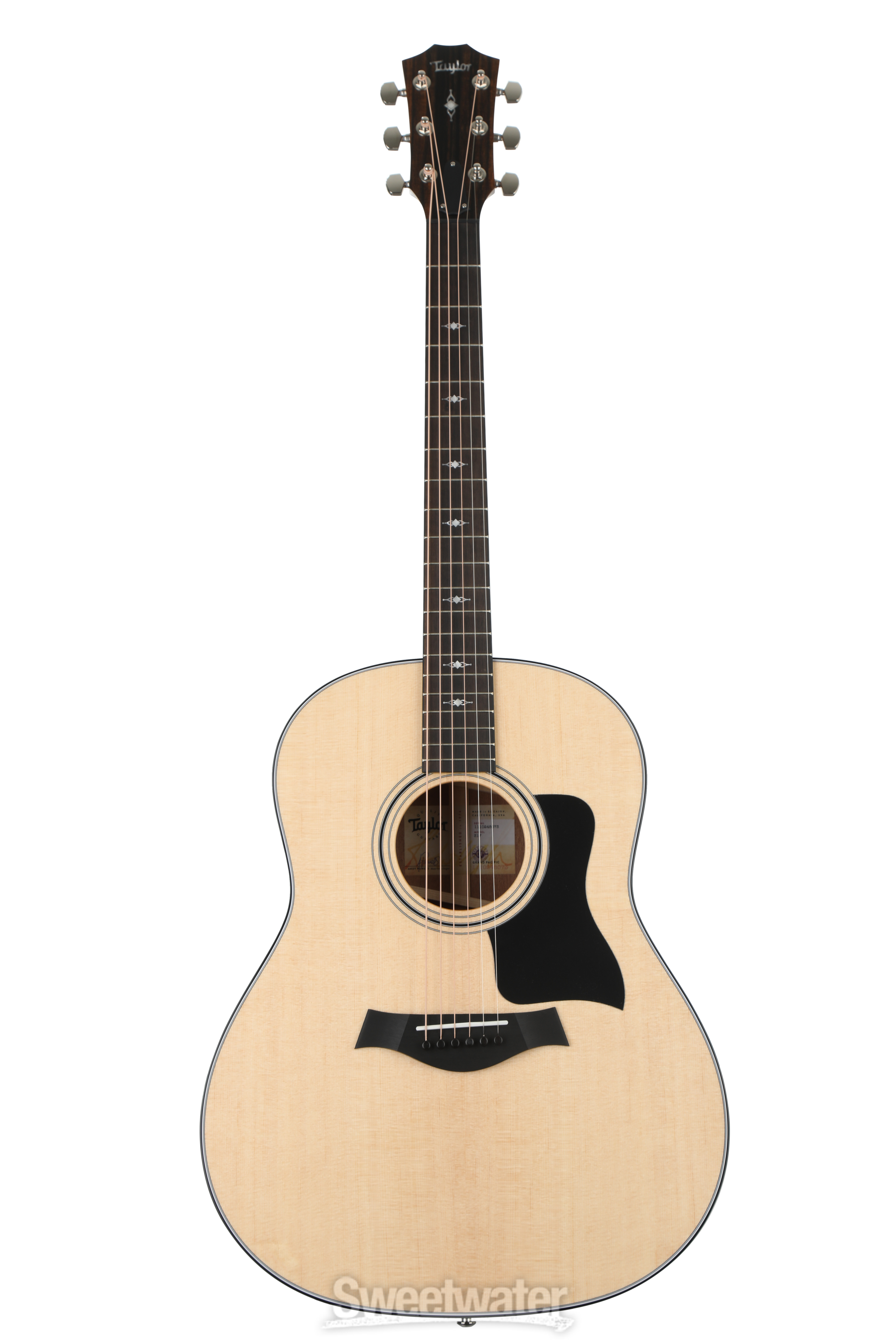 スペシャル特典 V-Class Pacific Grand 317 Taylor Acoustic Natural - Guitar ギター