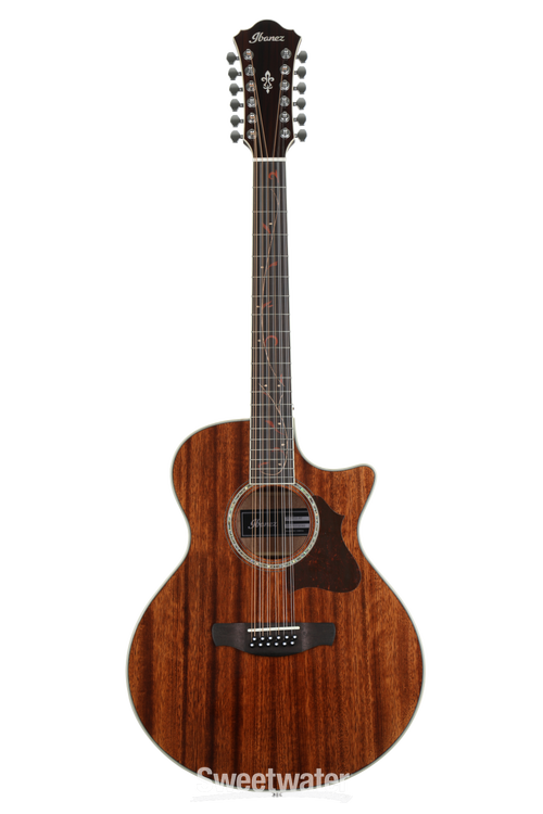 Ibanez 12 strings AE2412-NT ギターケース付き Ibanez 12 strings AE2412-NT ギターケース付き
