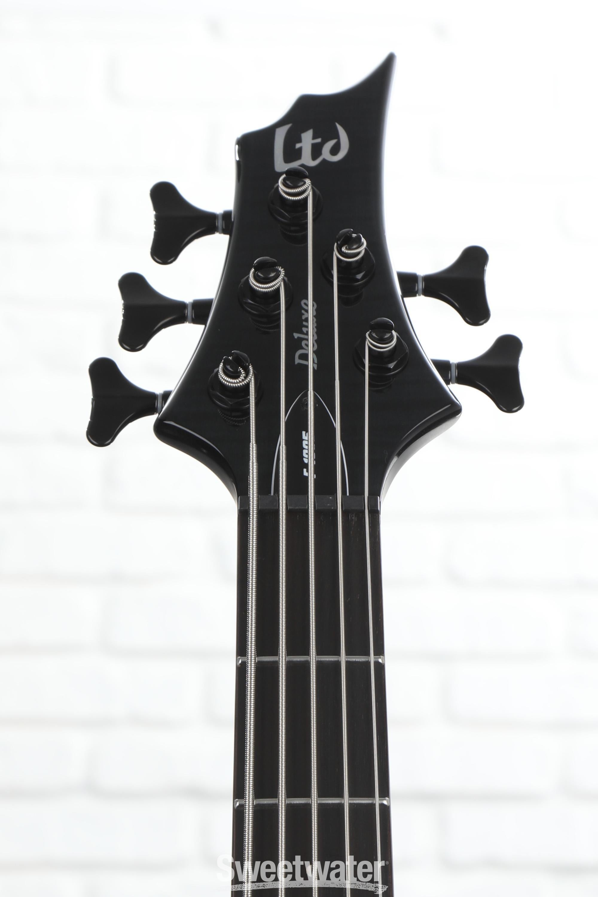 ESP LTD F-1005 FM Bass Guitar - See Thru Black | Sweetwater ESP LTD F-1005 FM Bass Guitar - See Thru Black | Sweetwater