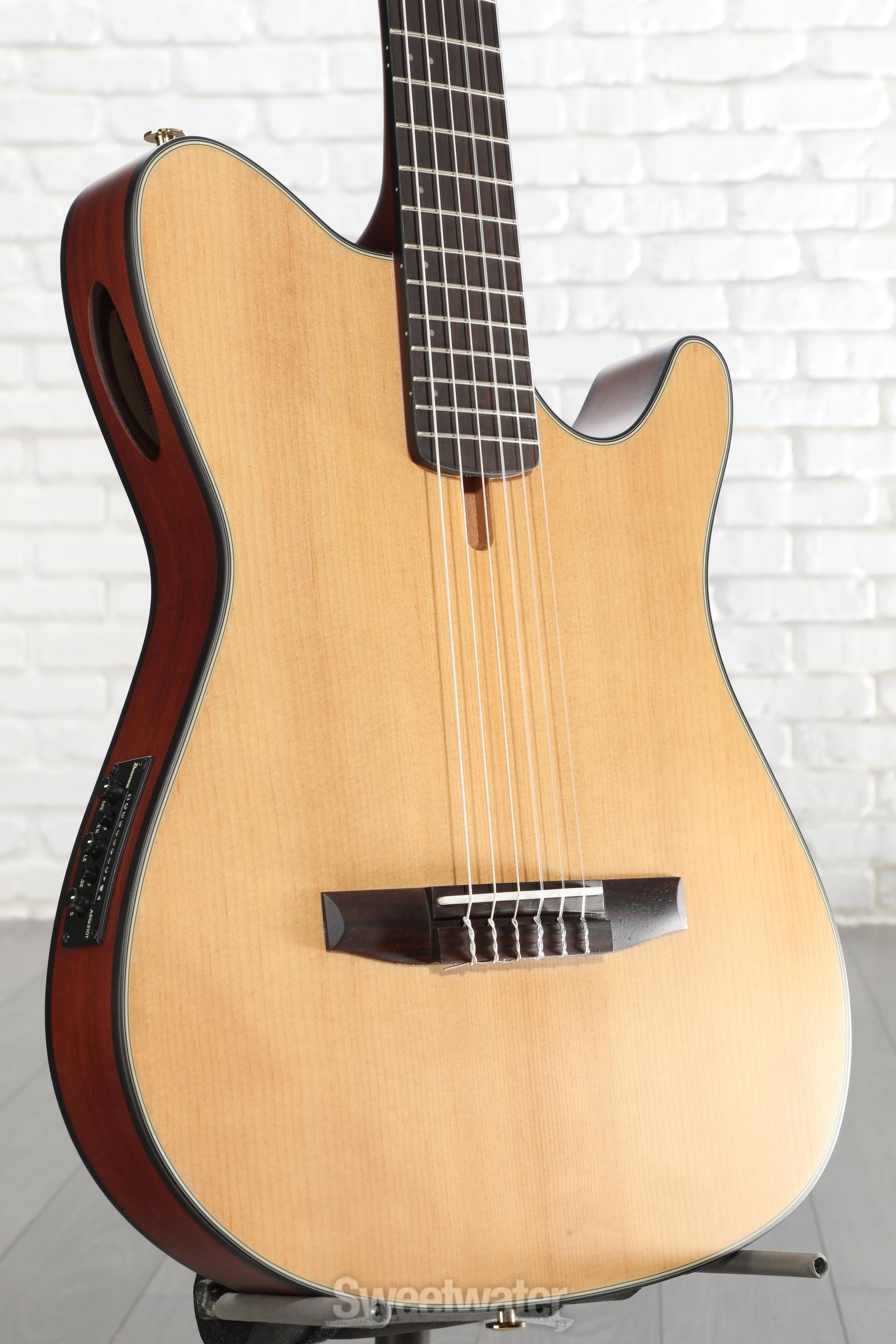 Photo of Ibanez FRH10N Thinline Nylon Acoustic-electric Guitar - Natural