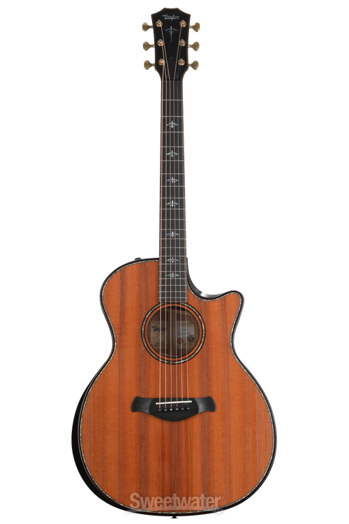 ギター Taylor 914ce Taylor - 914CE Acoustic Guitar with hardshell case | Mass Street Music