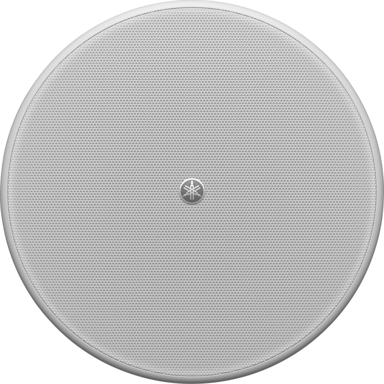 Yamaha In Ceiling Center Speaker Shelly Lighting