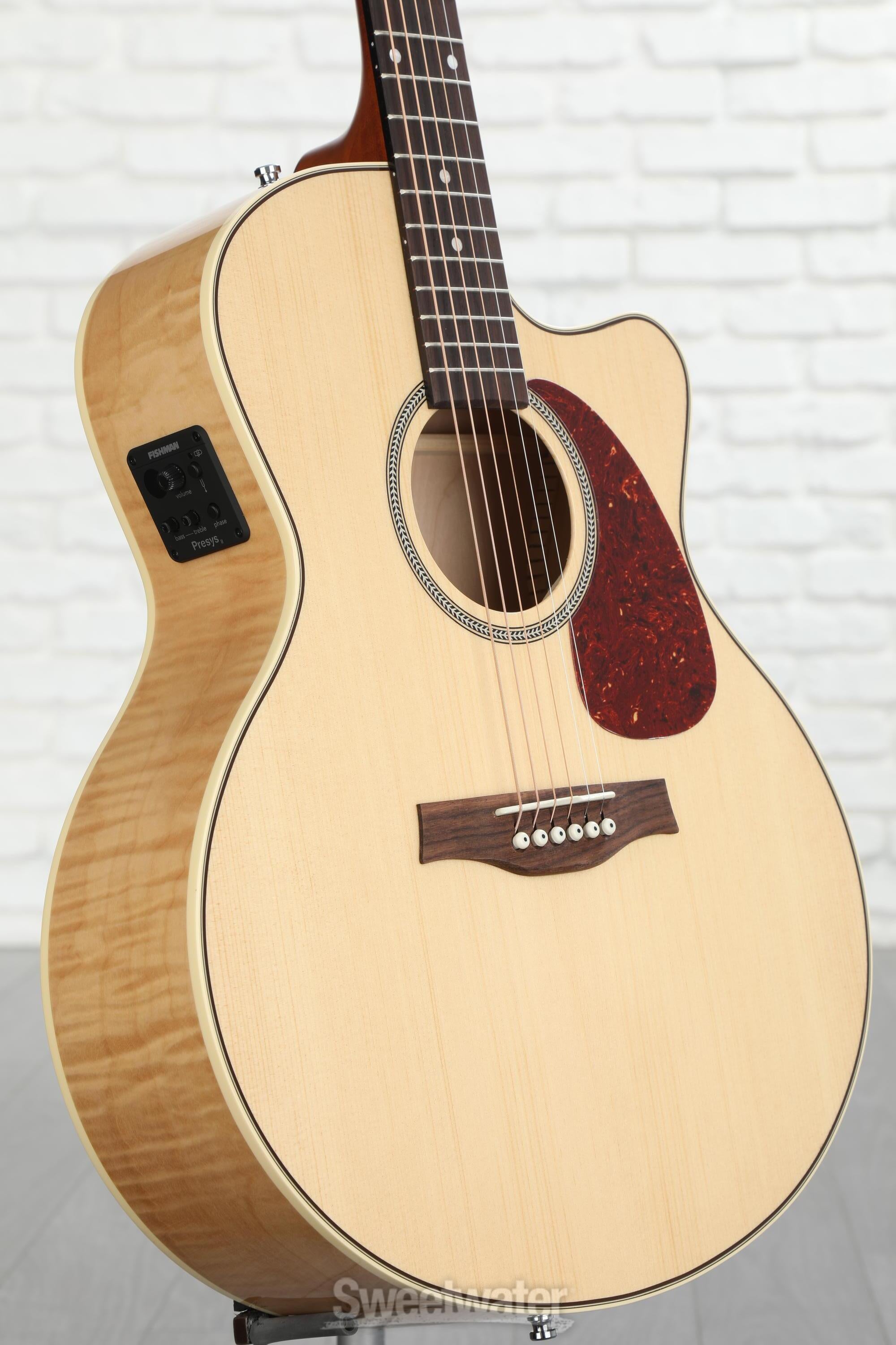 Seagull Guitars Performer Cutaway Mini-Jumbo Flame Maple Acoustic-electric  Guitar - Natural