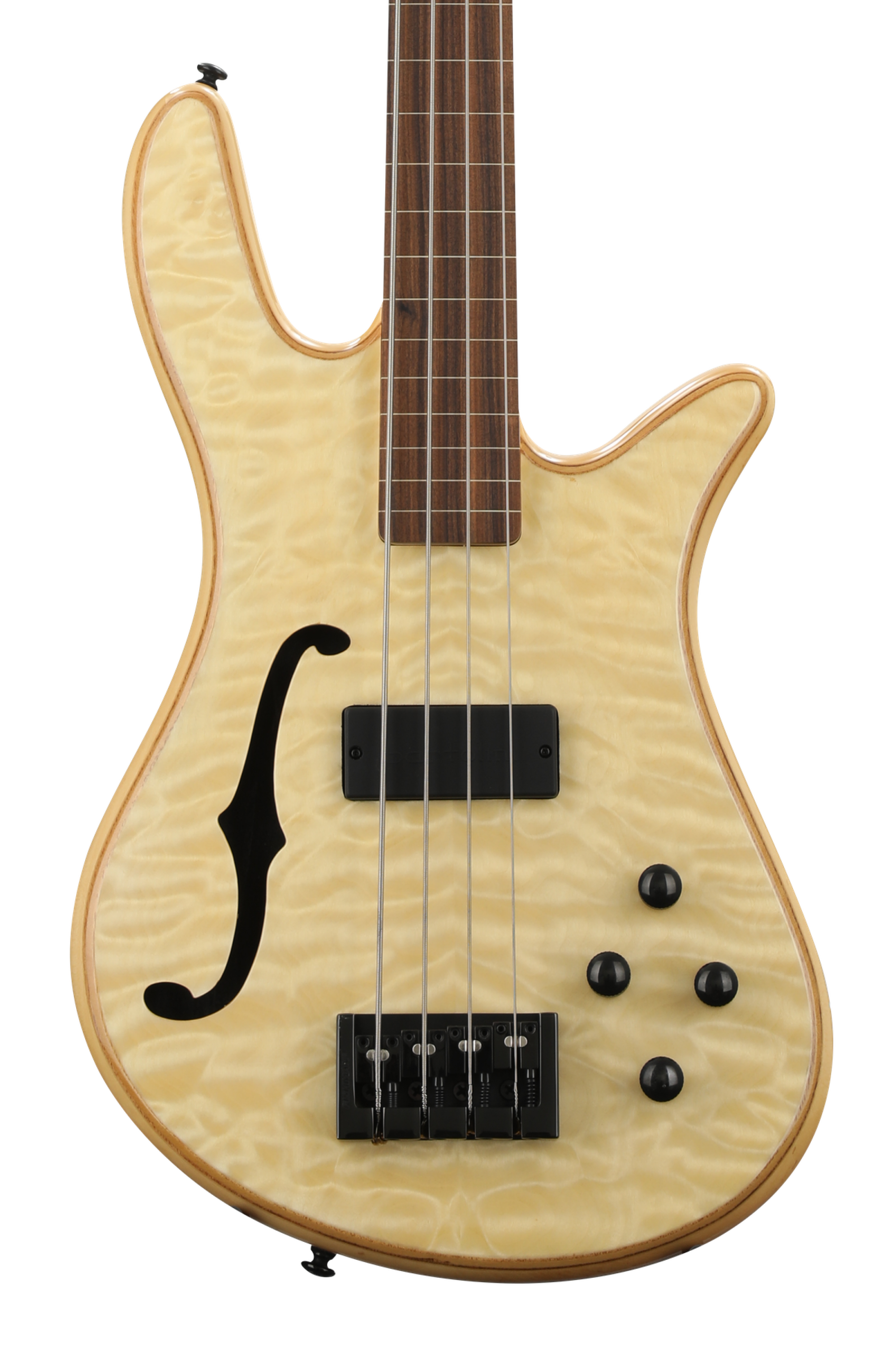 Sweetwater fretless deals bass