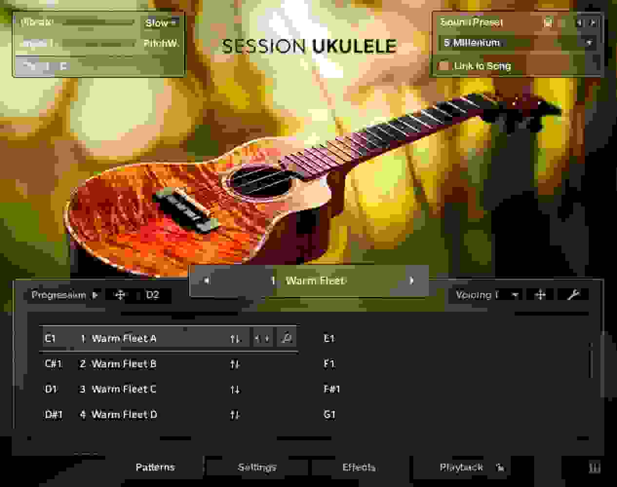 Native Instruments Session Ukulele Virtual Instrument Plug-in