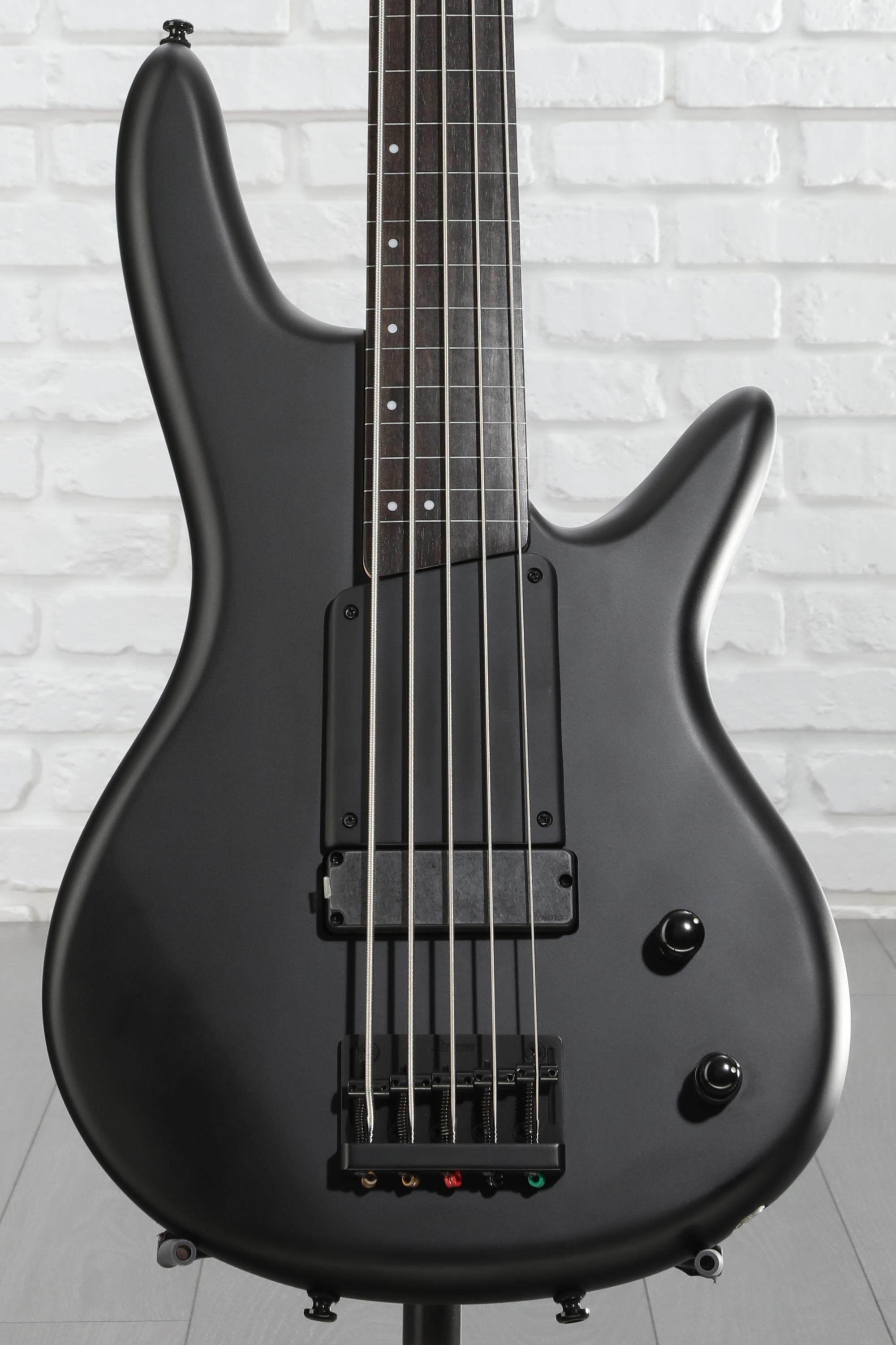Ibanez Gary Willis Signature GWB35 Fretless 5-string Bass Guitar