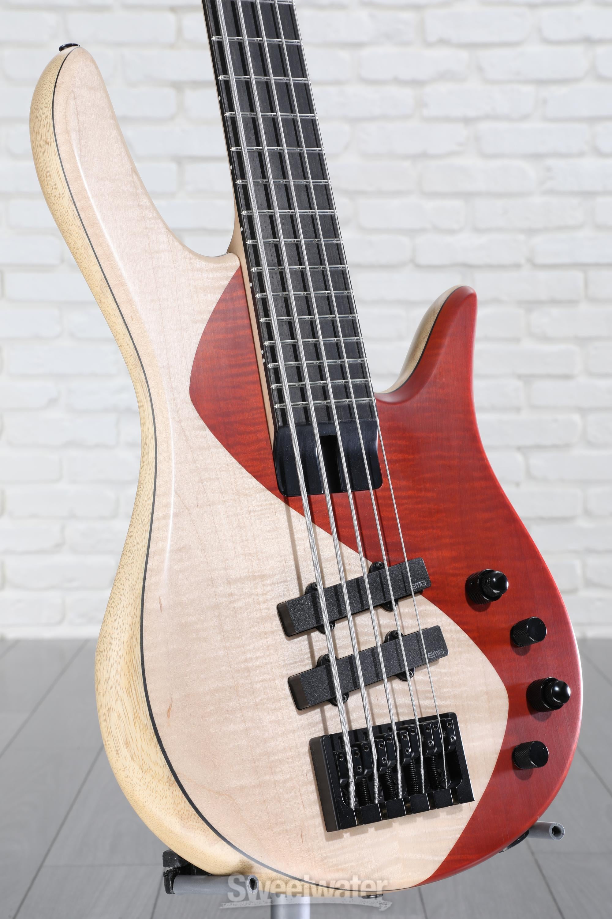 Mateyra　5strings　Bass Spector Performer 5 5-String Bass Amara Ebony Fretboard Metallic