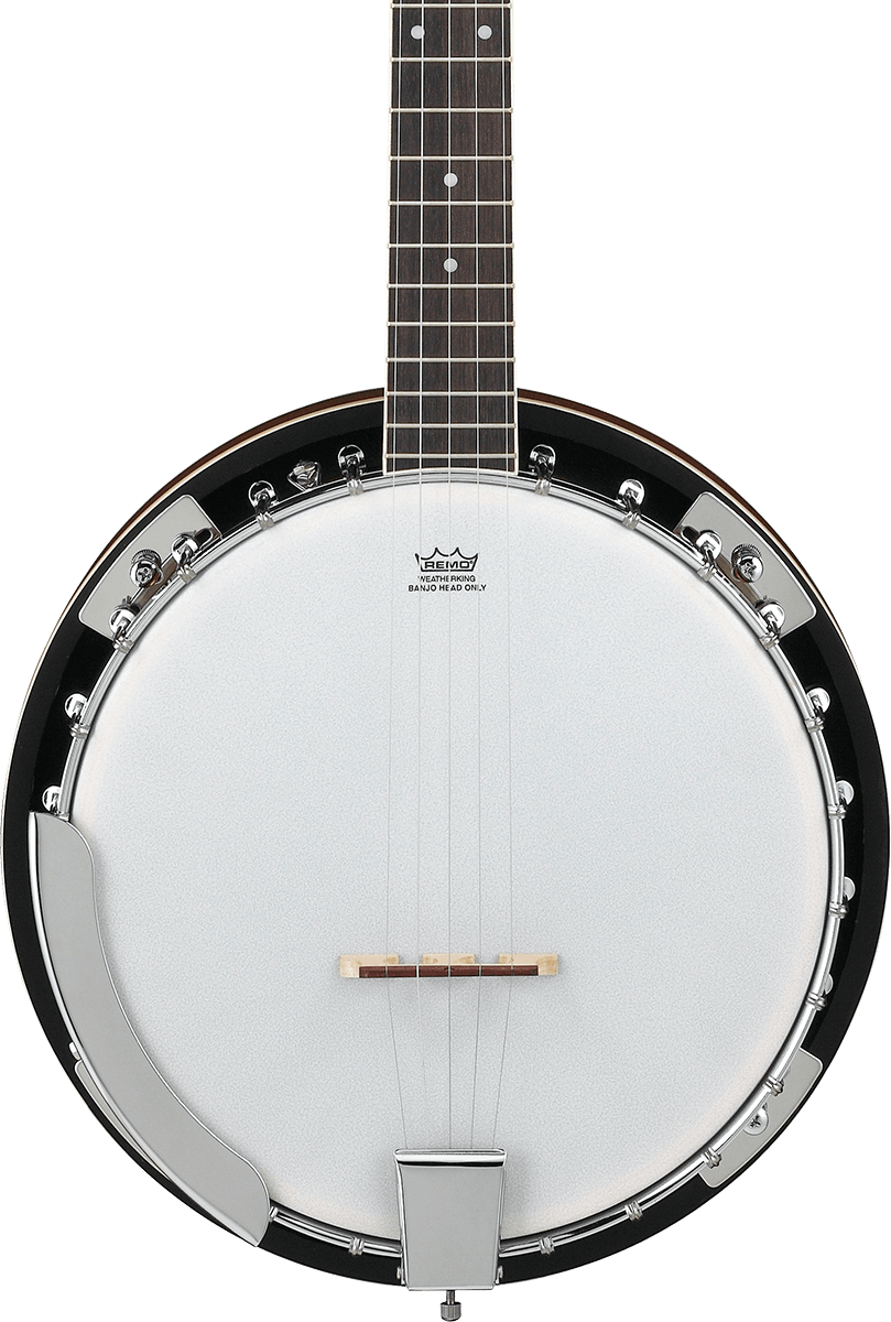 Photo of Ibanez B50 5-string Resonator Banjo - Natural Gloss