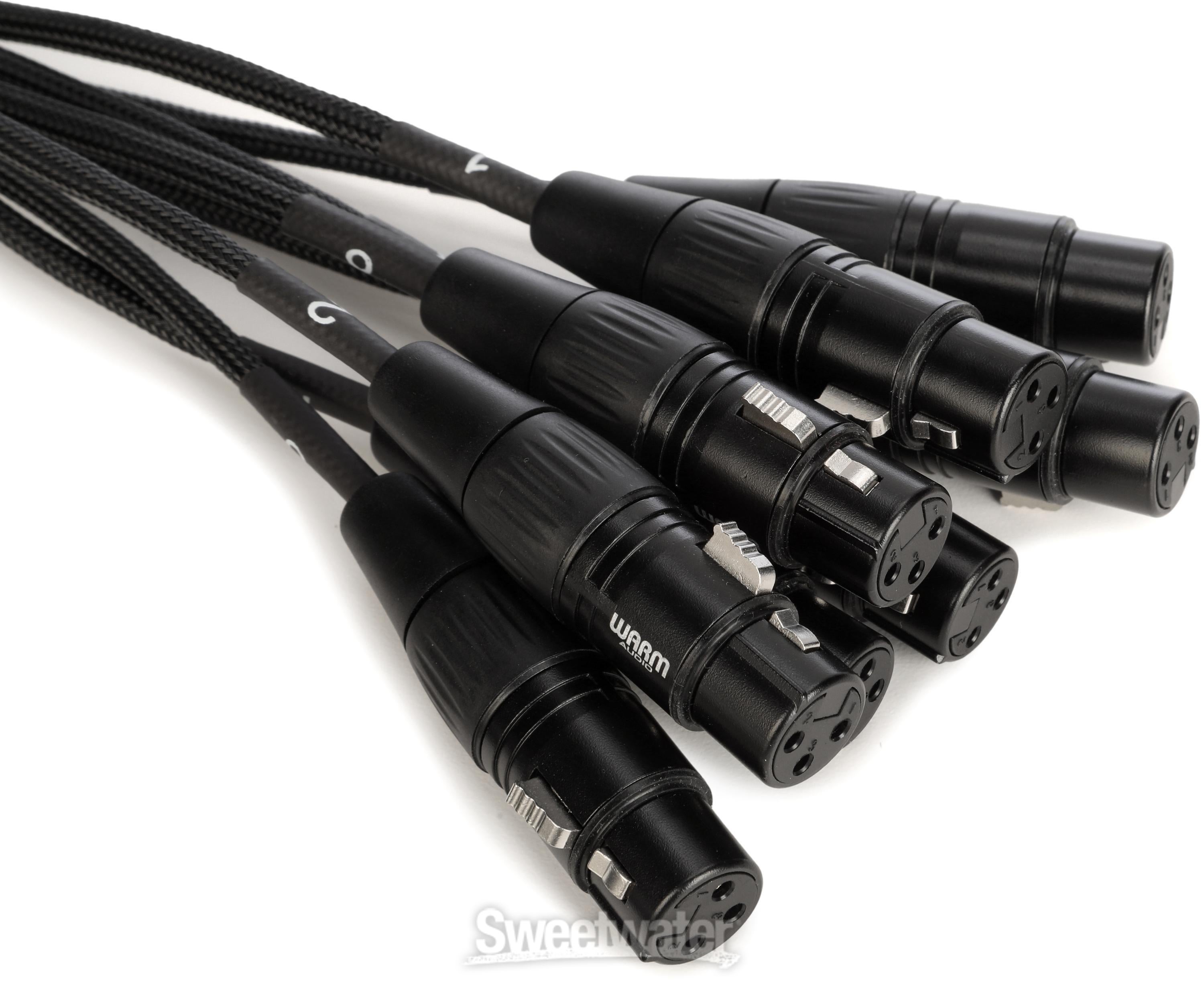 Warm Audio Premium 8-channel DB25 to XLRF Audio Breakout Cable - 6