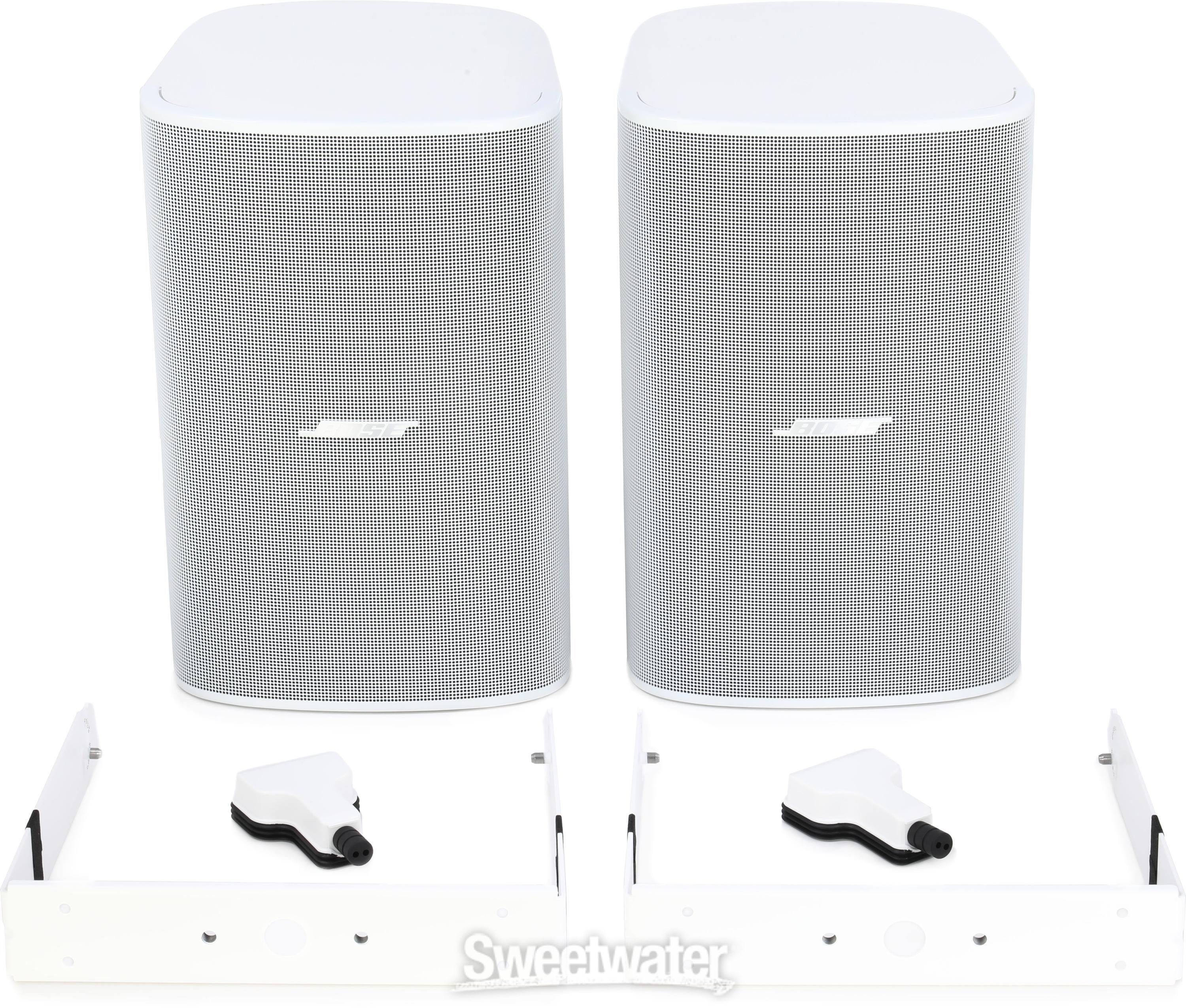 Bose Professional DesignMax DM6SE 100W 6.5-inch Indoor/Outdoor