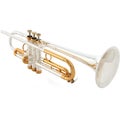 Photo of Victory Musical Instruments Special Edition Professional Bb Trumpet of Jesus - Silver Plated with Gold Lacquer Accents