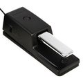 Photo of Roland DP-10 Piano-style Sustain Pedal with Half-damper Control