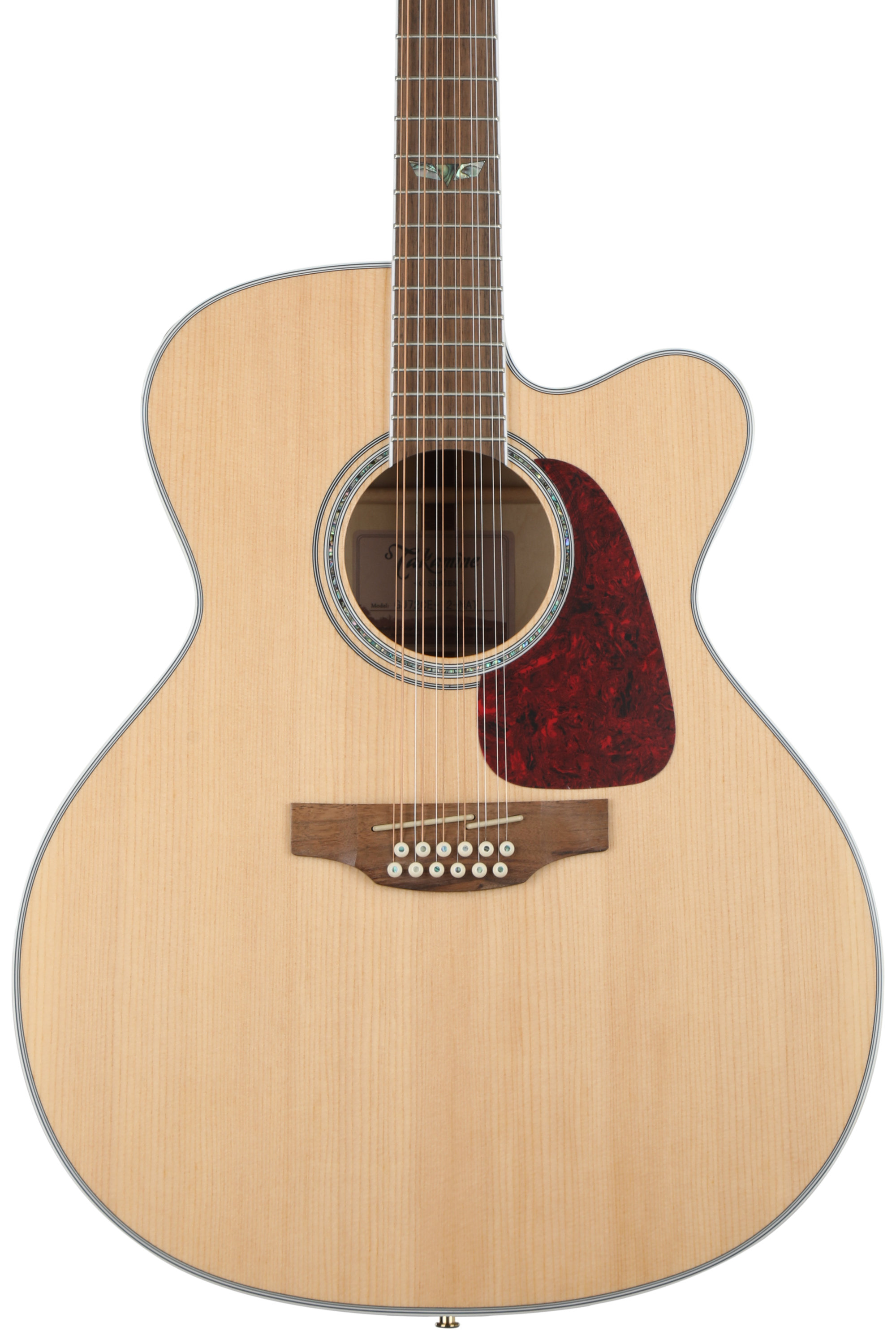Takamine Acoustic Guitar Collection 10 pieces (Shokugan