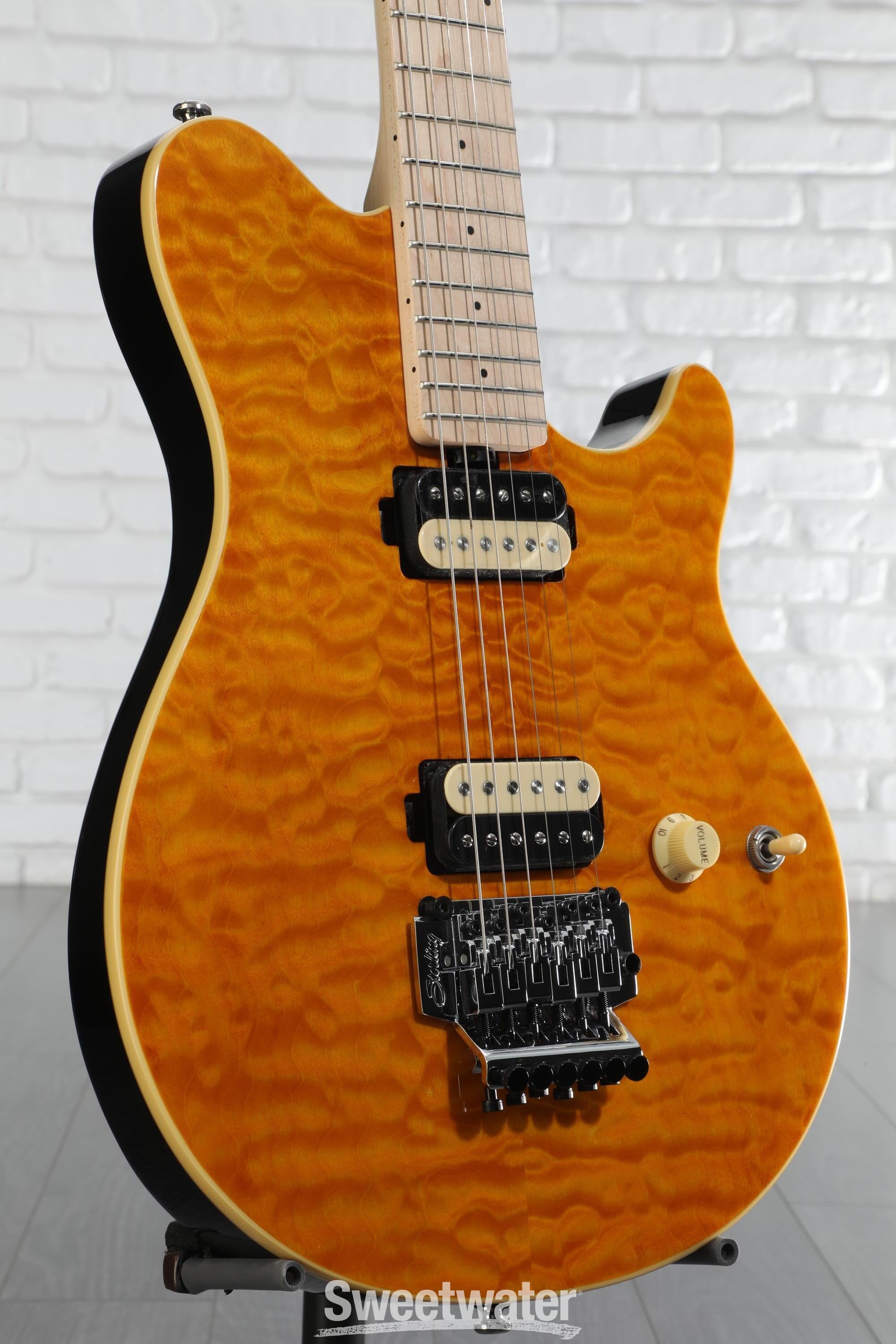 MUSICMANStingRay5HH 2020年製 llic Gold 楽天市場】MUSICMAN