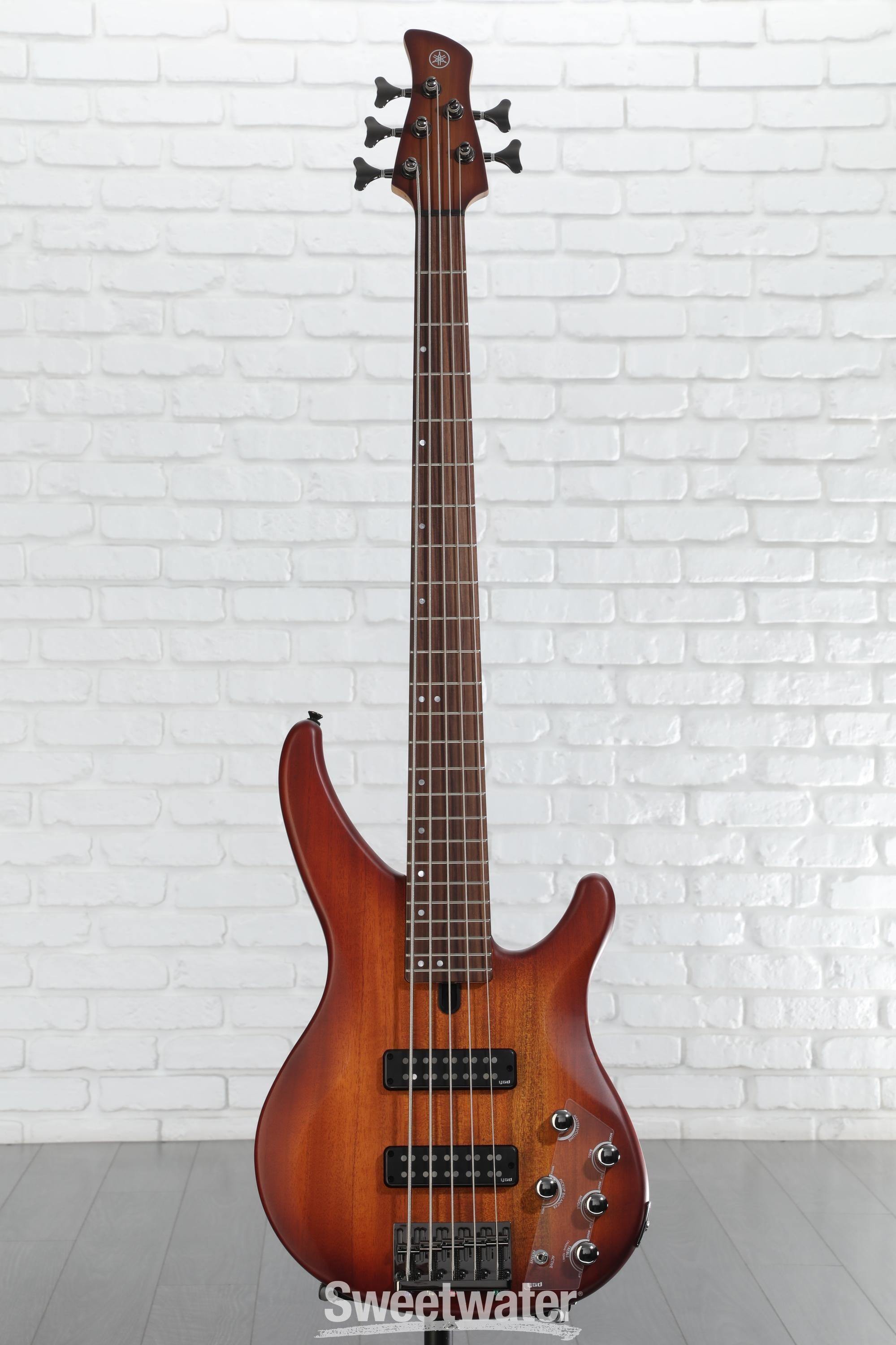 ベース Yamaha TRBX 505 Yamaha TRBX 505 TBL – United States