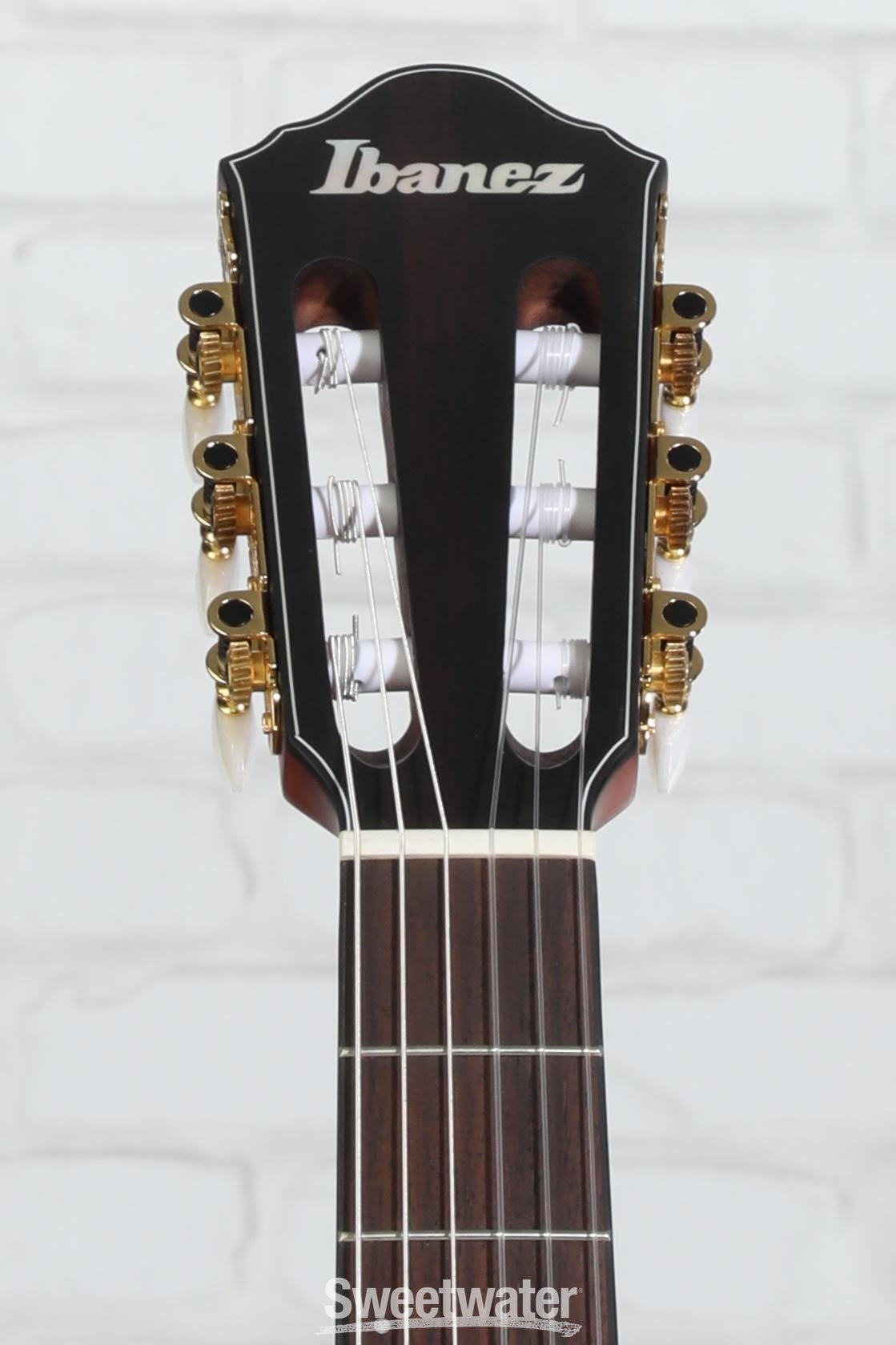 Ibanez FRH10N Thinline Nylon Acoustic-electric Guitar - Indigo