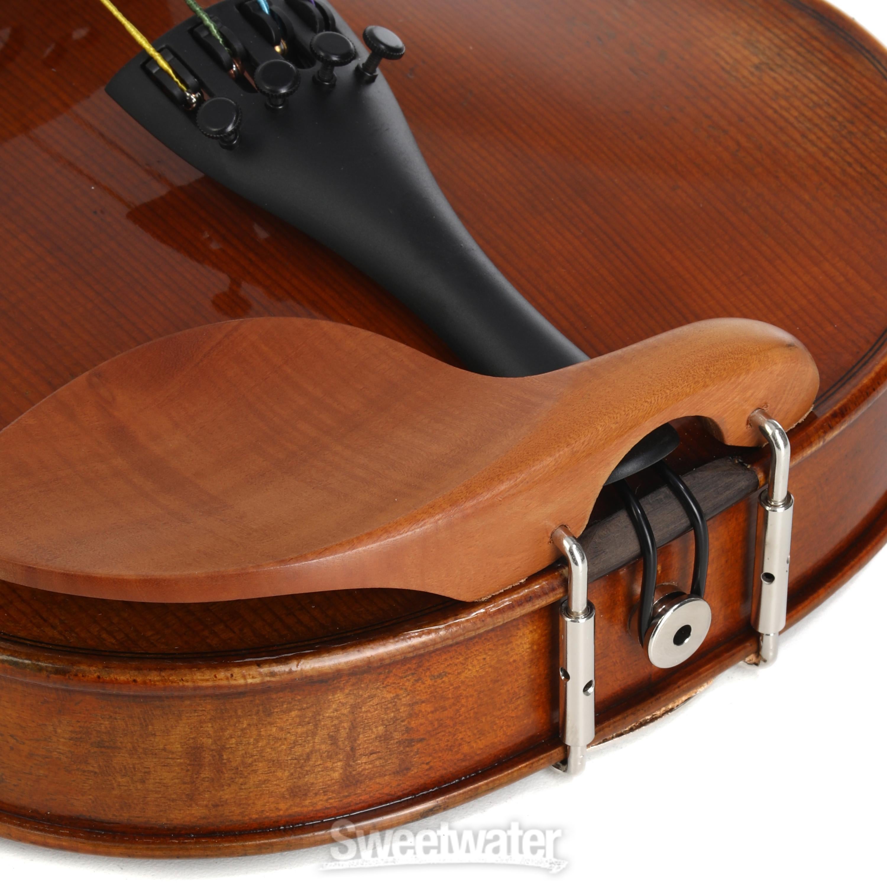 Eastman VL405+ Andreas Eastman Series+ Intermediate Violin