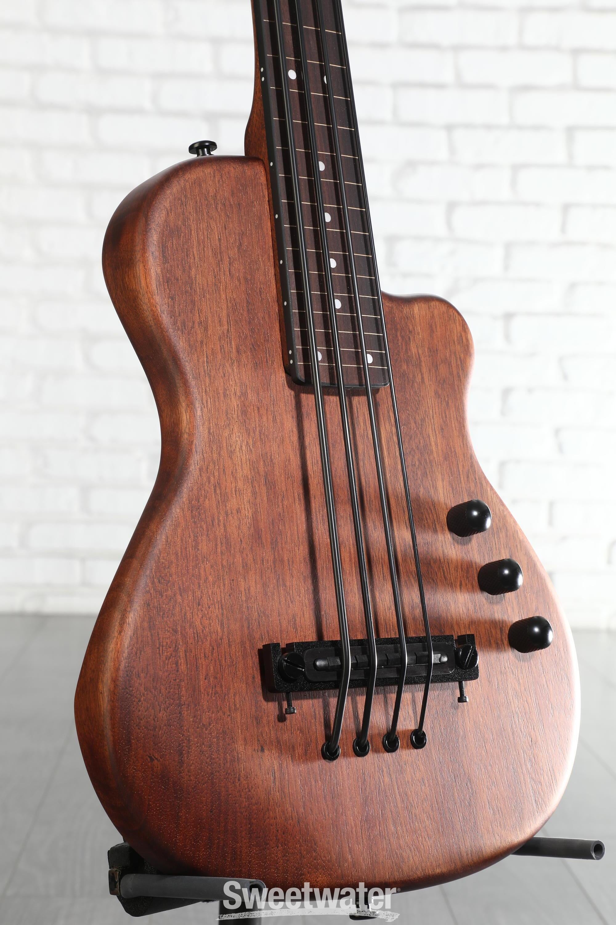 Photo of Gold Tone ME-BassFL 23-inch Scale Fretless Electric MicroBass - Natural