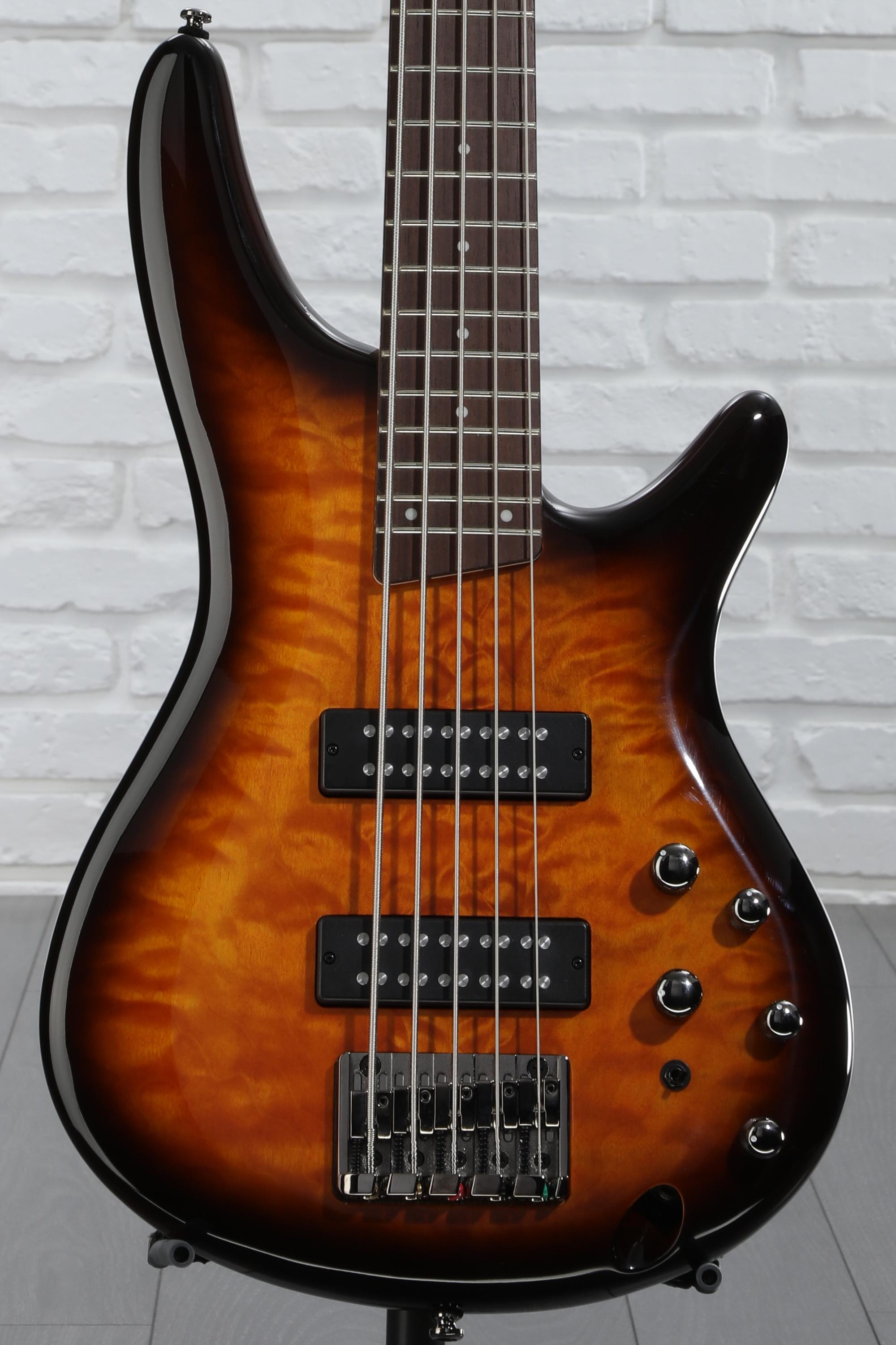 Ibanez Standard SR405E 5-string Bass Guitar - Dragon Eye