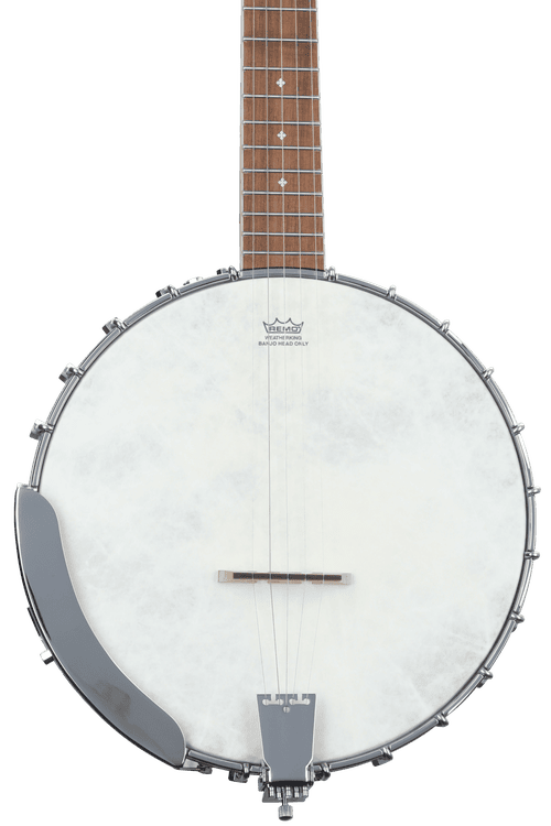 Fender Banjo History