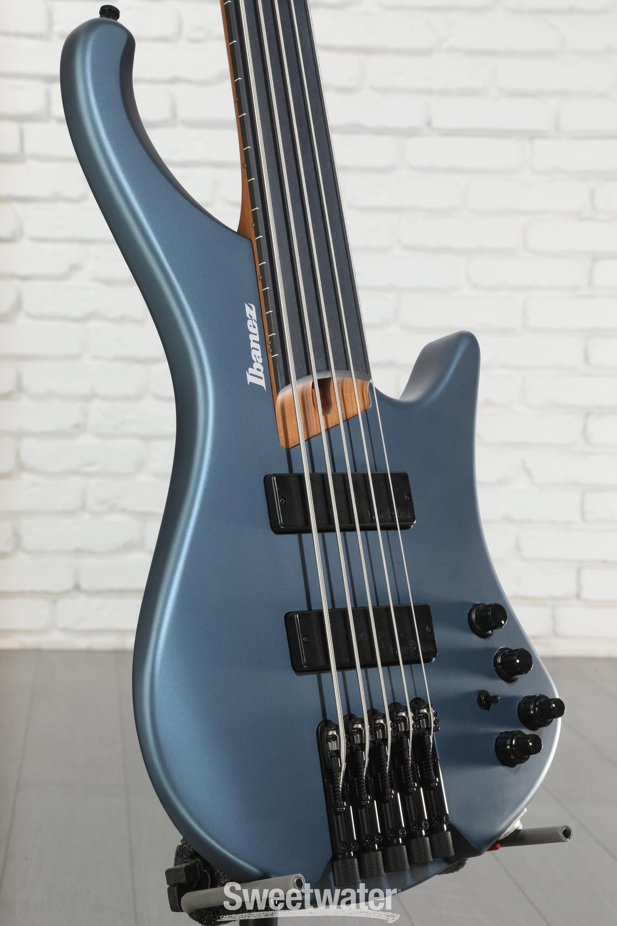 Ibanez Standard EHB1005F Fretless 5-string Bass Guitar - Arctic