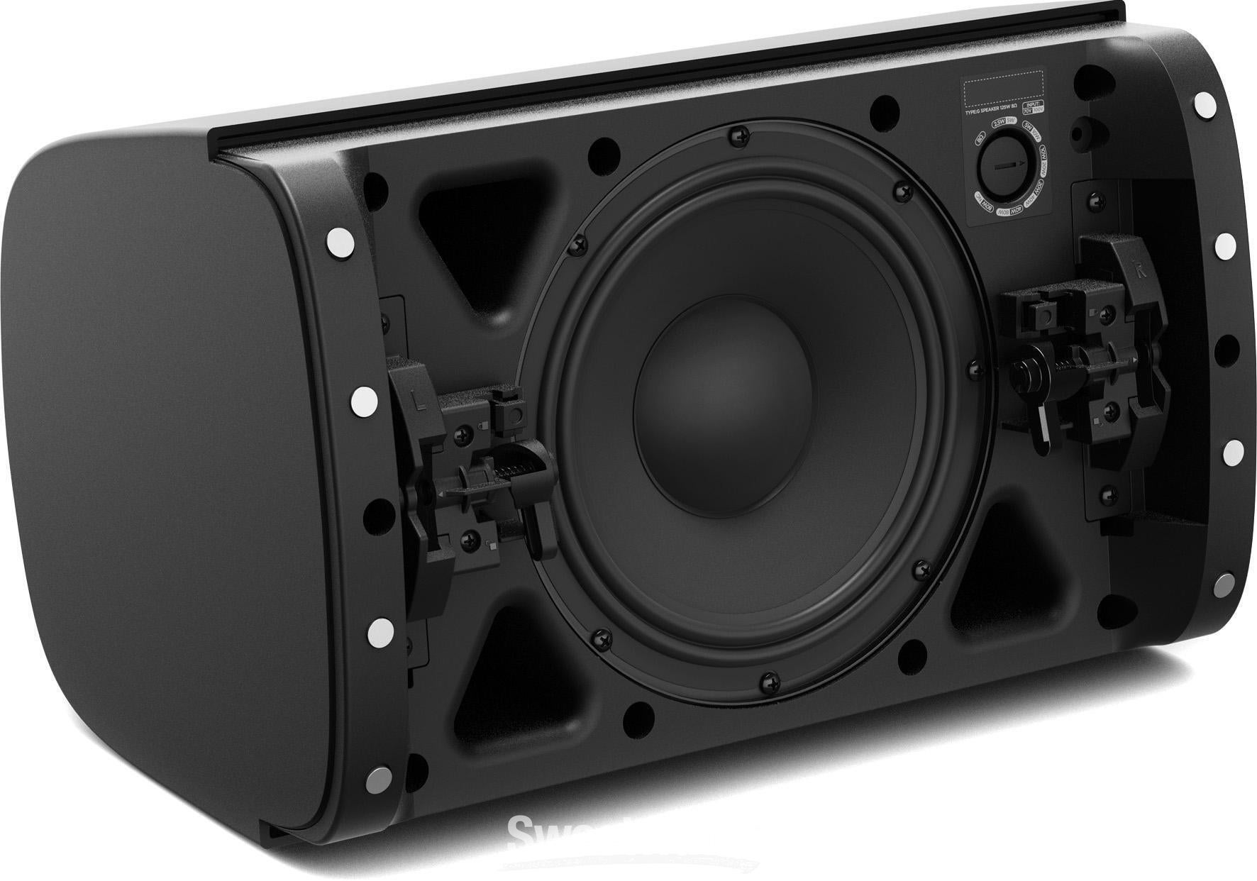 Bose Professional DesignMax DM8SE Passive Speaker - Black | Sweetwater