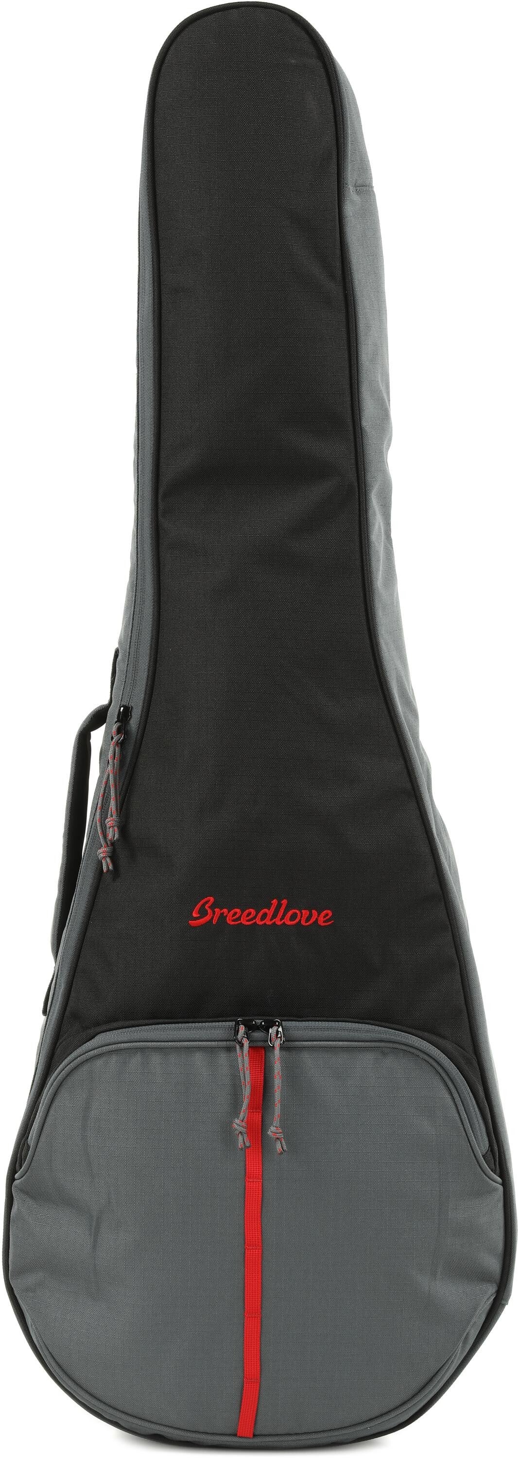 G2180 on sale gig bag