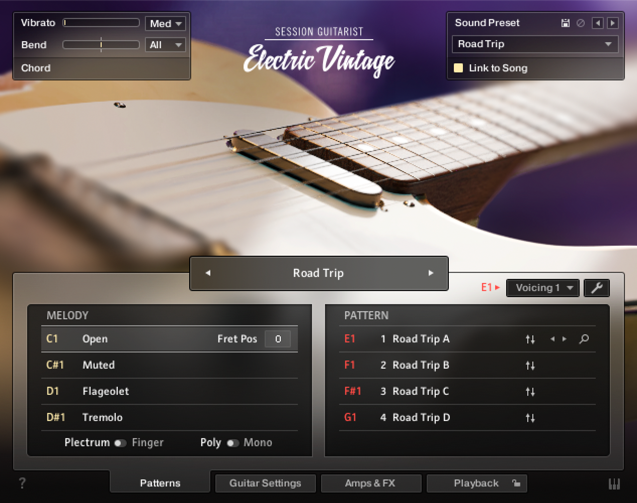 Native Instruments Session Guitarist - Electric Vintage Virtual