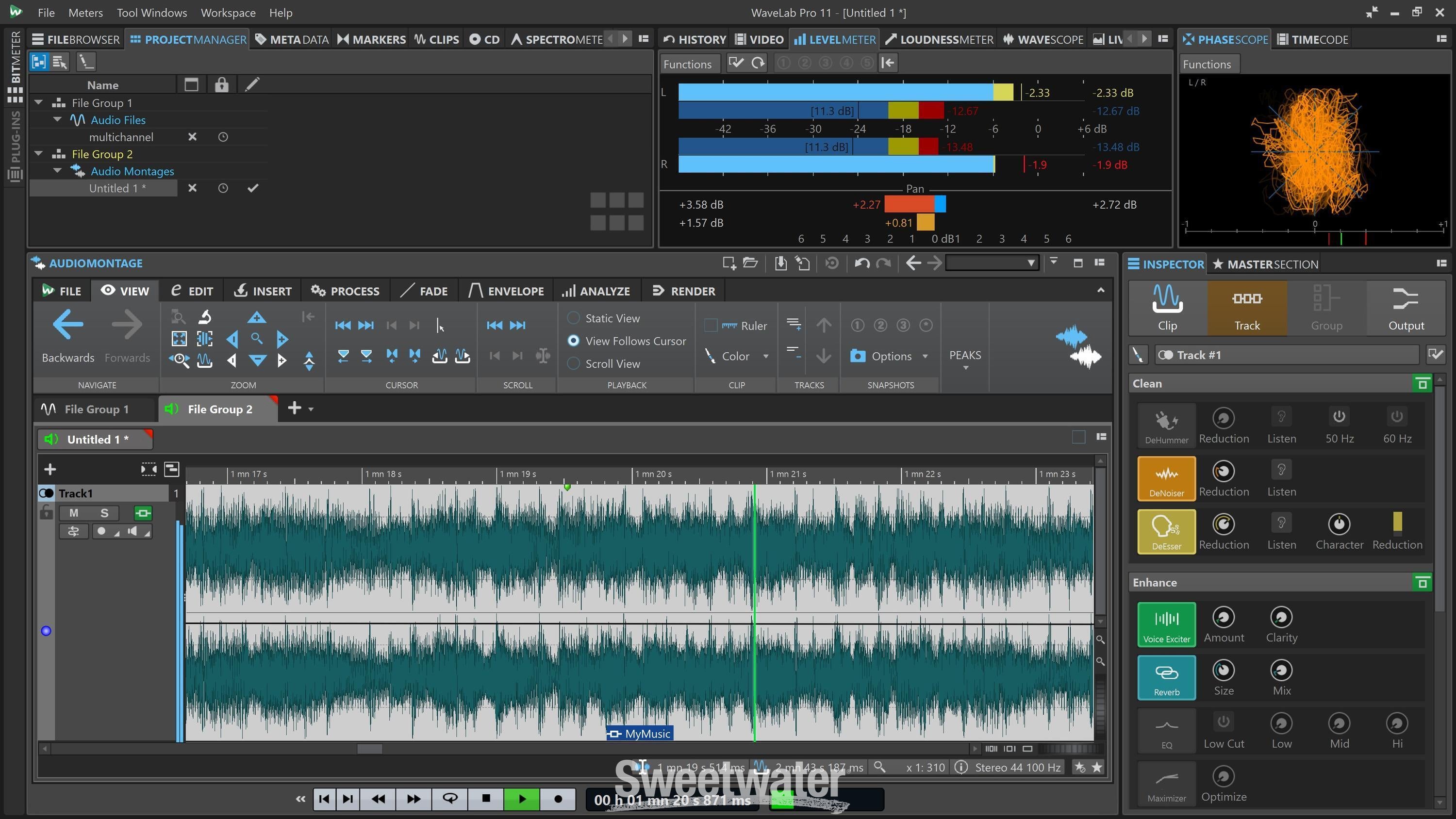 Steinberg WaveLab Pro 11.2 Mastering Software Suite - Upgrade from Elements  11.1