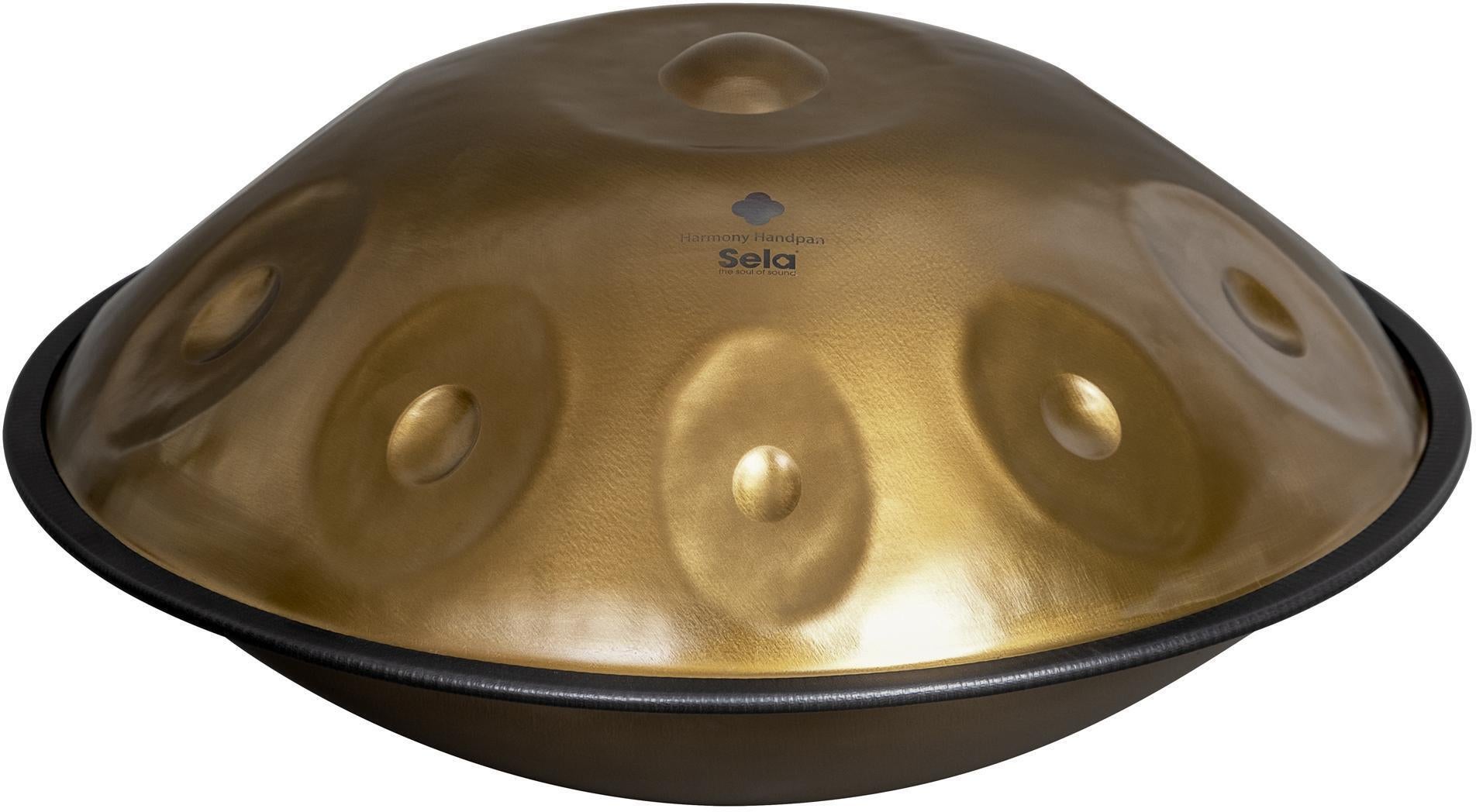 Sela Harmony 10-note Handpan - D Kurd, Stainless Steel | Sweetwater