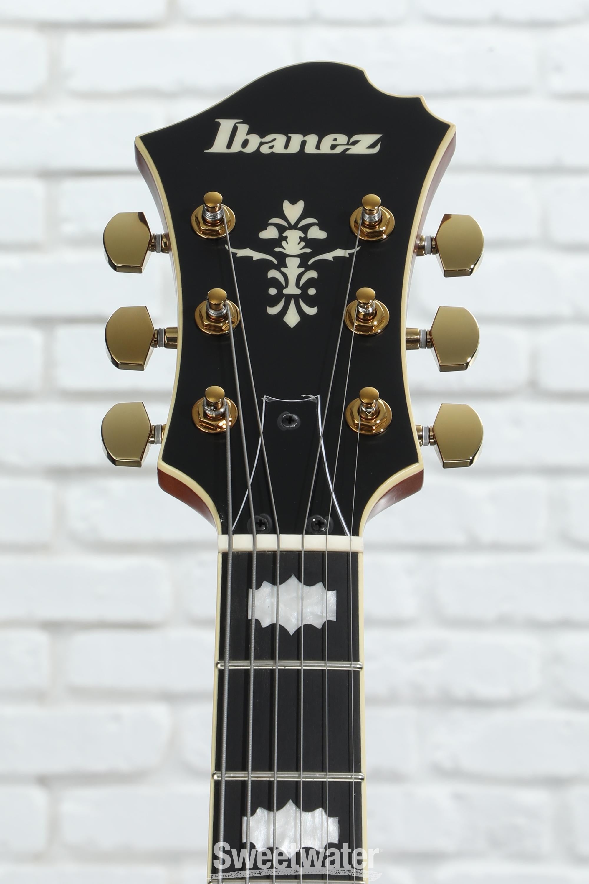 Ibanez PM3C Pat Metheny Natural Amber Low Gloss Semi-Hollow