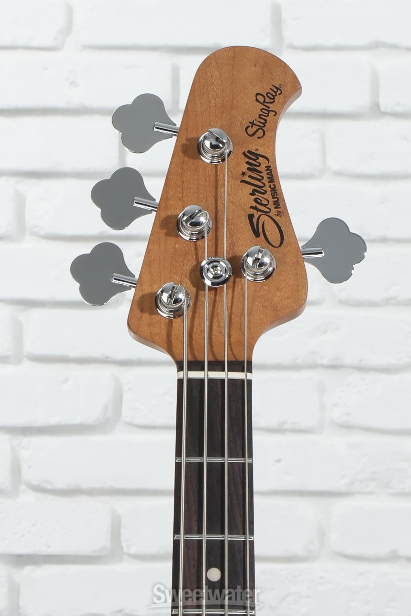 即納可能】Sterling by MUSIC MAN(スターリンバイミュージック