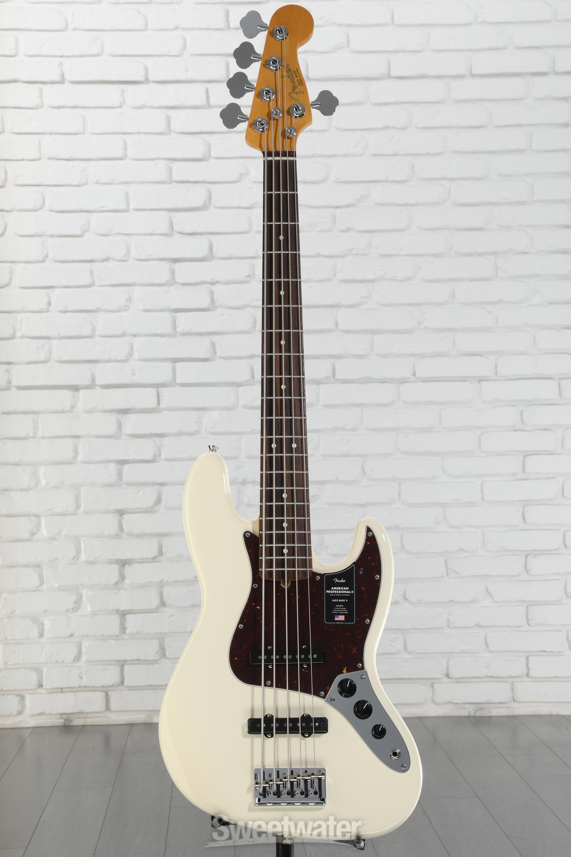 ベース Fender American Professional Jazz Bass V Fender American Professional Jazz Bass V - Sonic Gray with