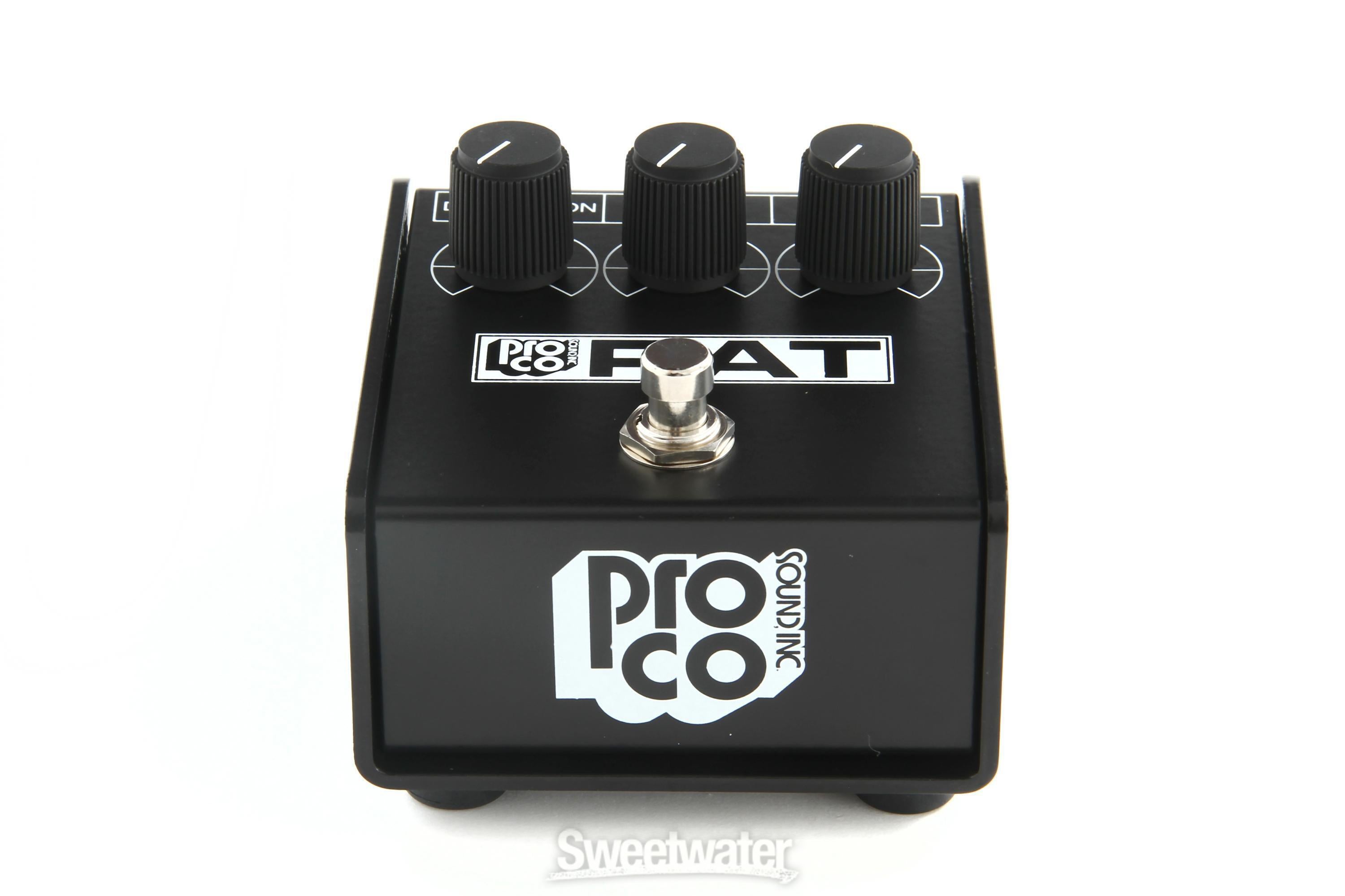 Pro Co Limited Edition Reissue '85 Whiteface RAT Reviews | Sweetwater