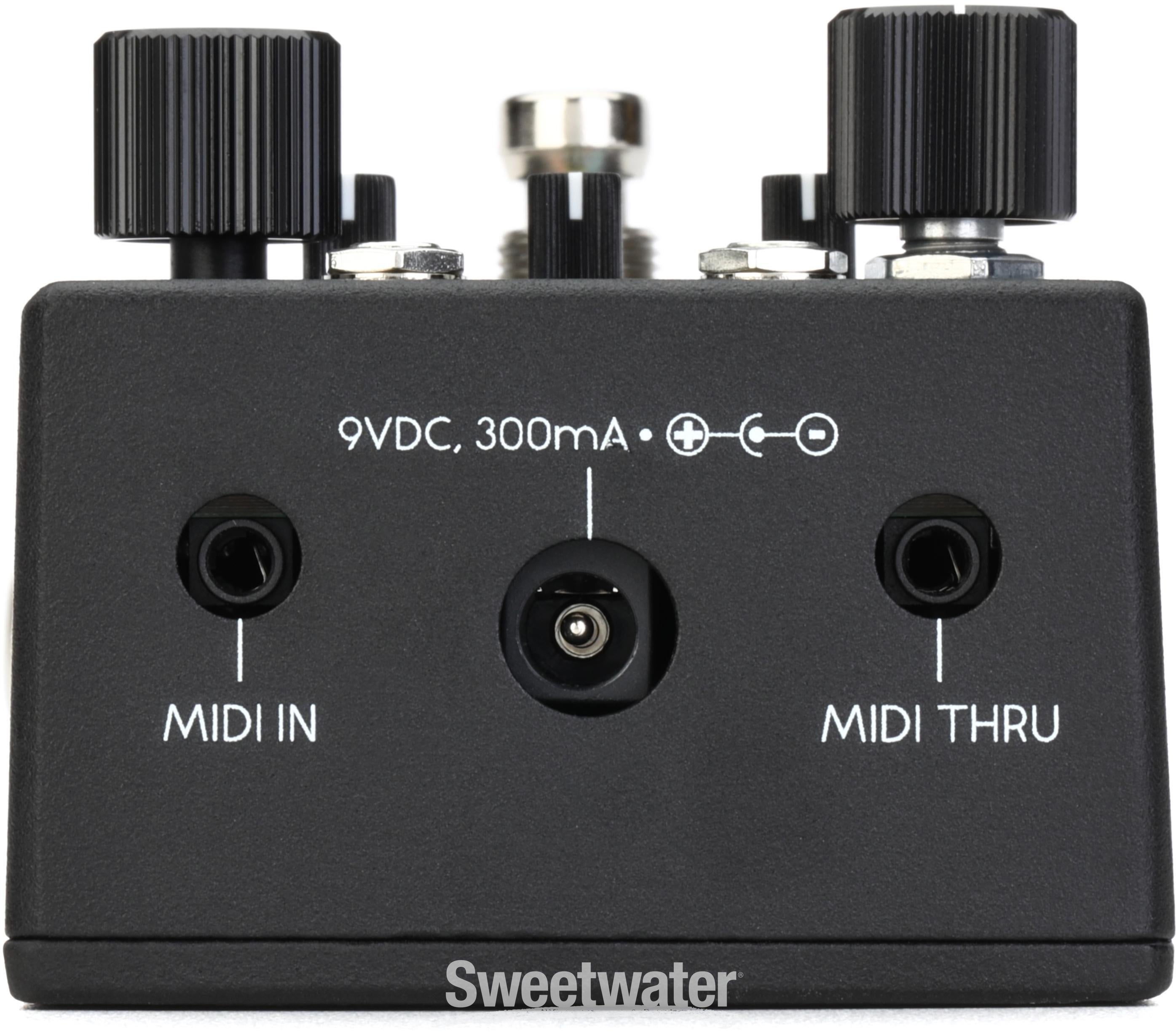 ギター WALRUS AUDIO TRANSIT4 Walrus Audio Transit【Supernice!エフェクター】