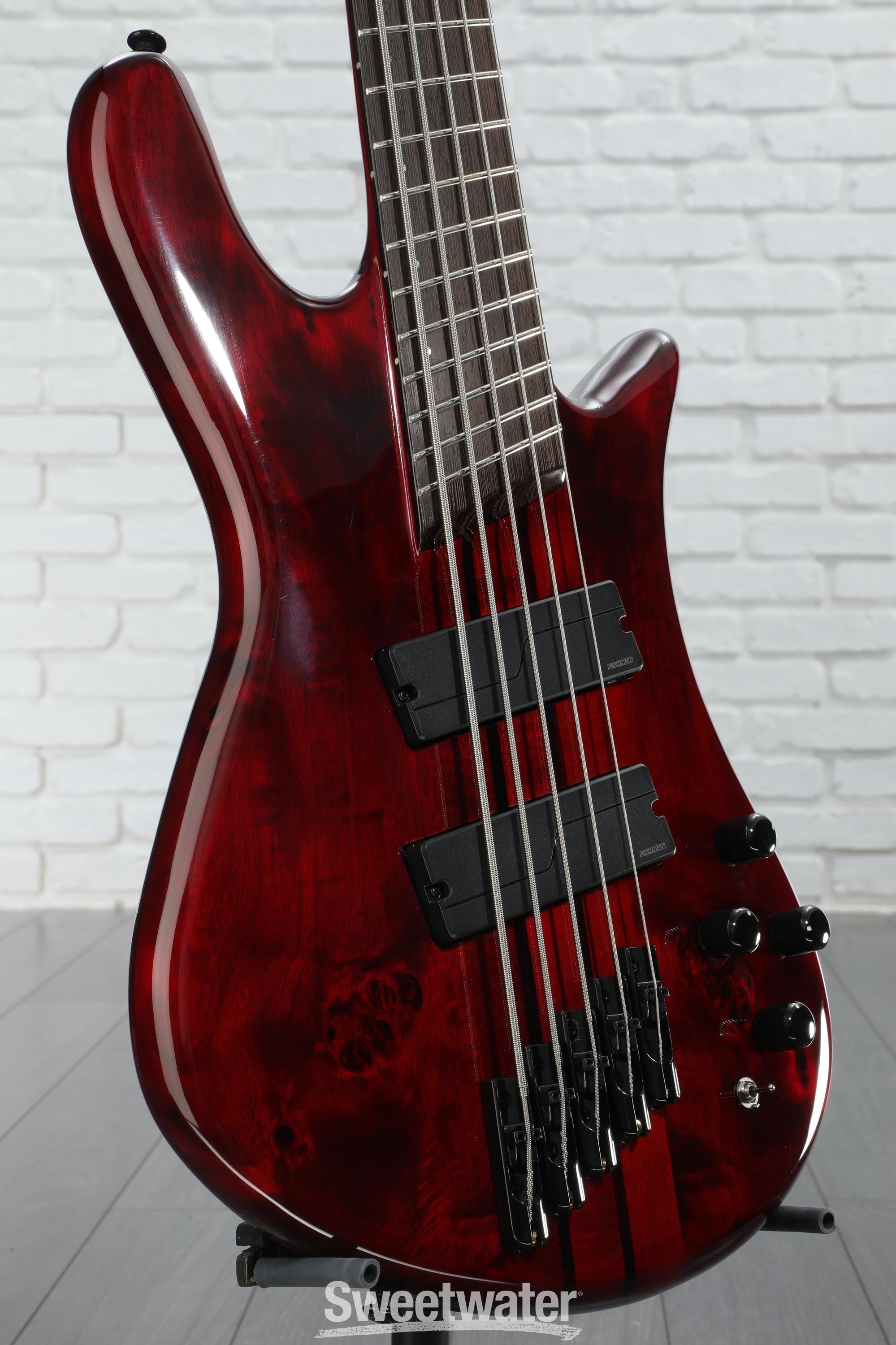 ベース Spector NS dimension-5 NS Dimension 5 - Spector Bass