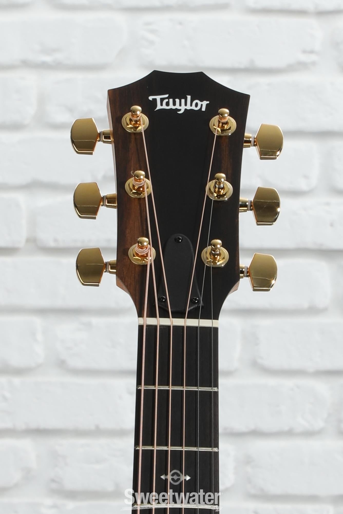 Taylor 224ce-K DLX Grand Auditorium Acoustic-electric Guitar - Tobacco