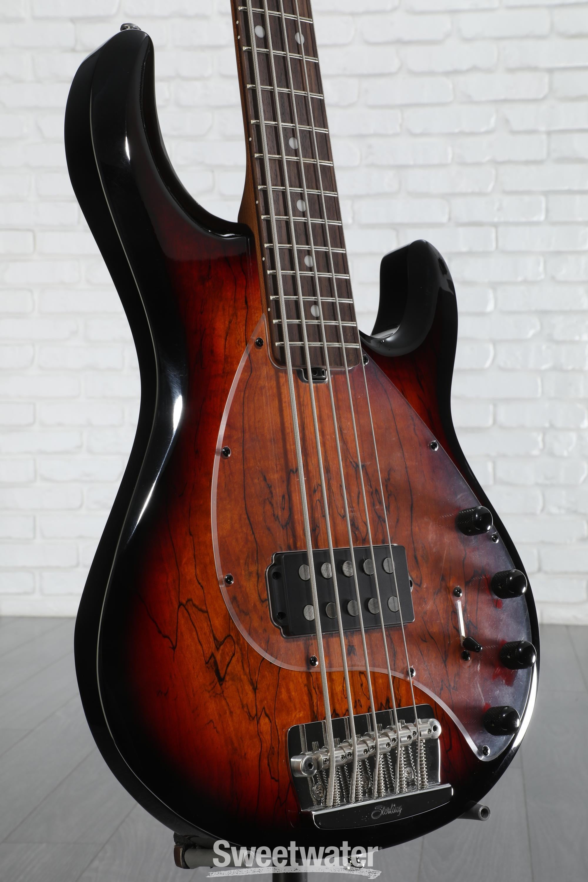 ベース Sterling by MUSIC MAN RAY35 StingRay 5 Ray35 Maple Top | Basses | Sterling by Music Man