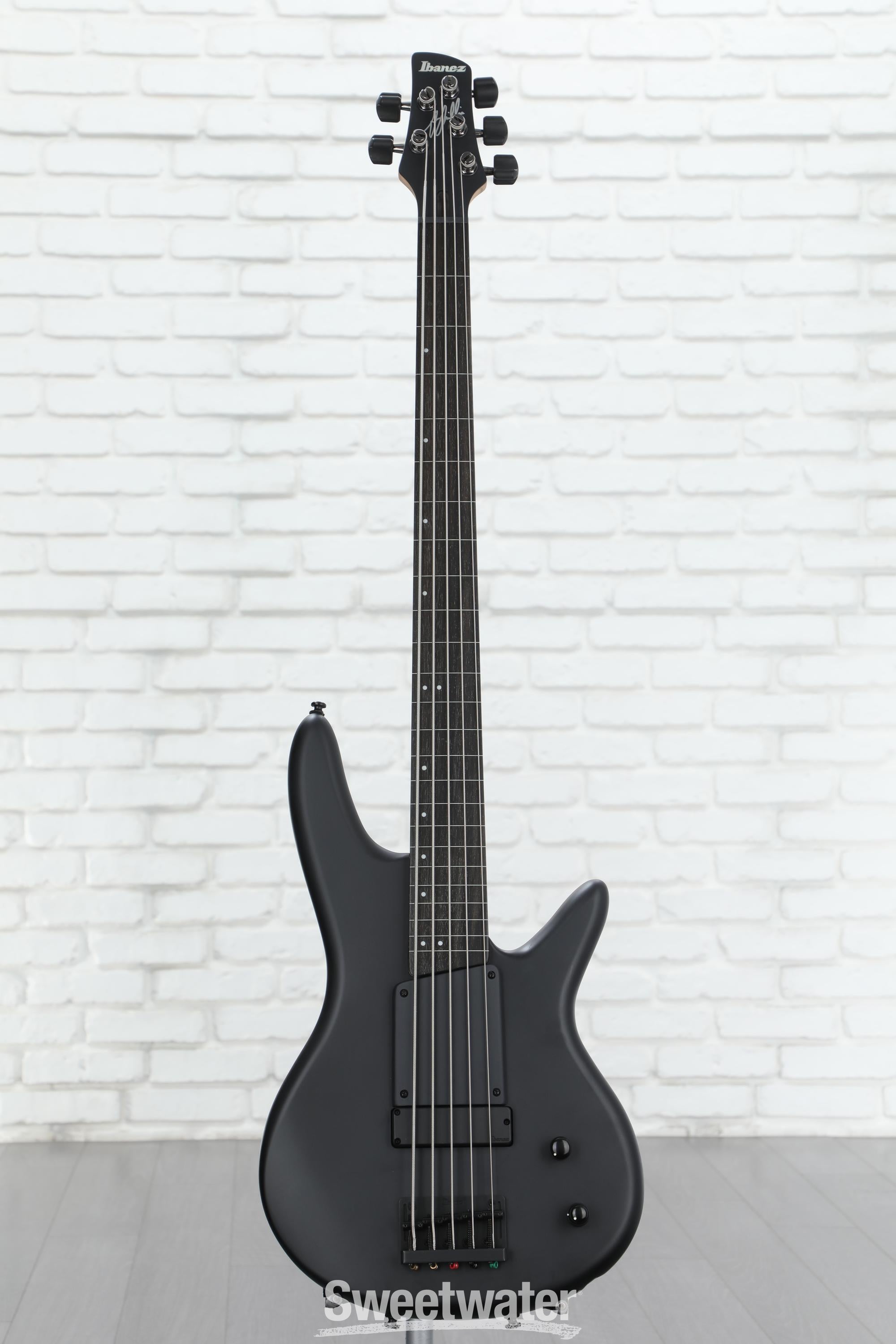 Ibanez Gary Willis Signature GWB35 Fretless 5-string Bass Guitar - Black  Flat