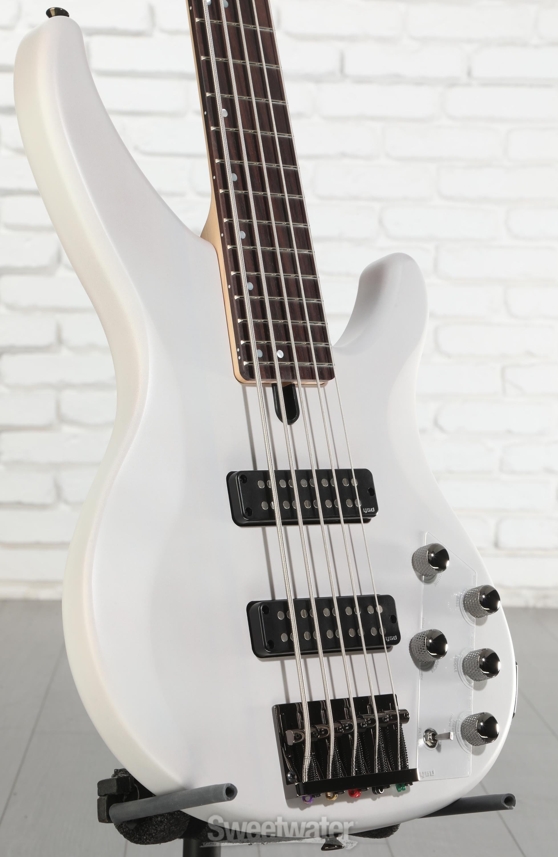 Yamaha TRBX505 5-string Bass Guitar - Translucent White | Sweetwater