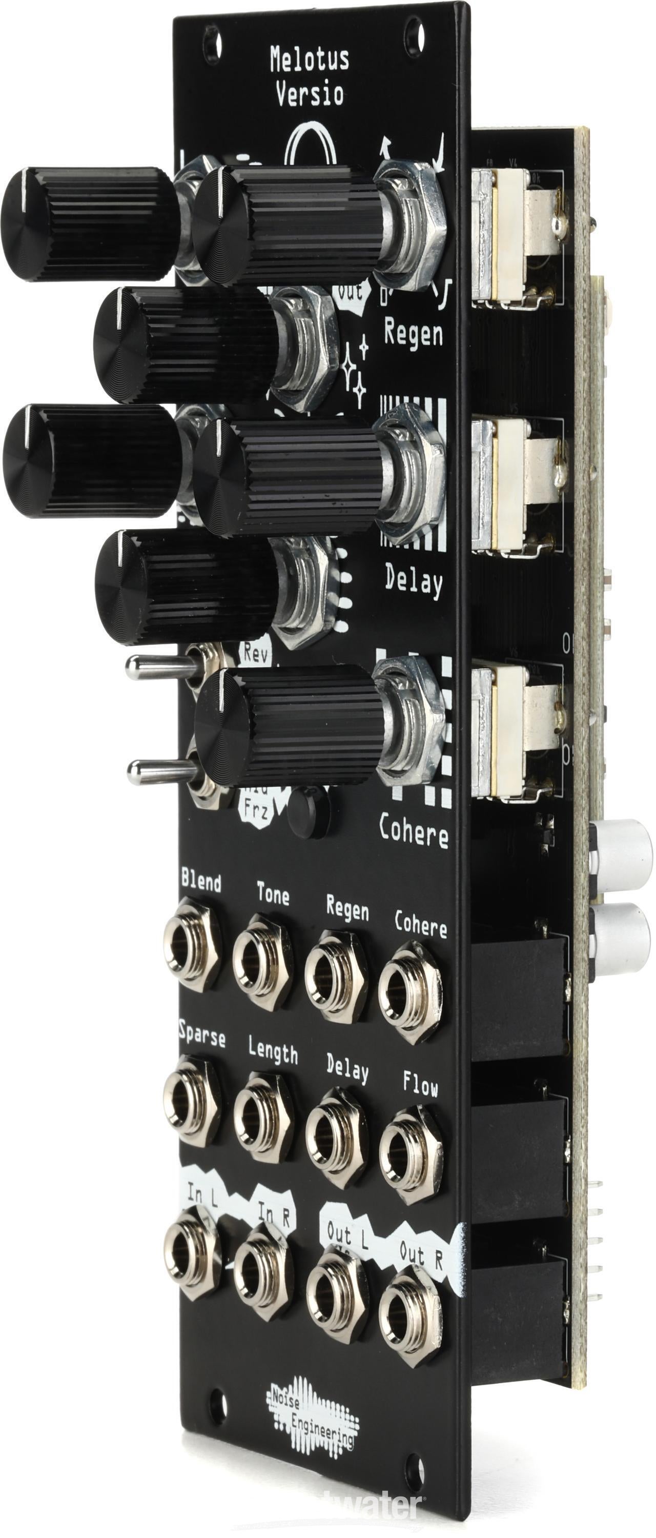 Noise Engineering Melotus Versio Granular Transformation