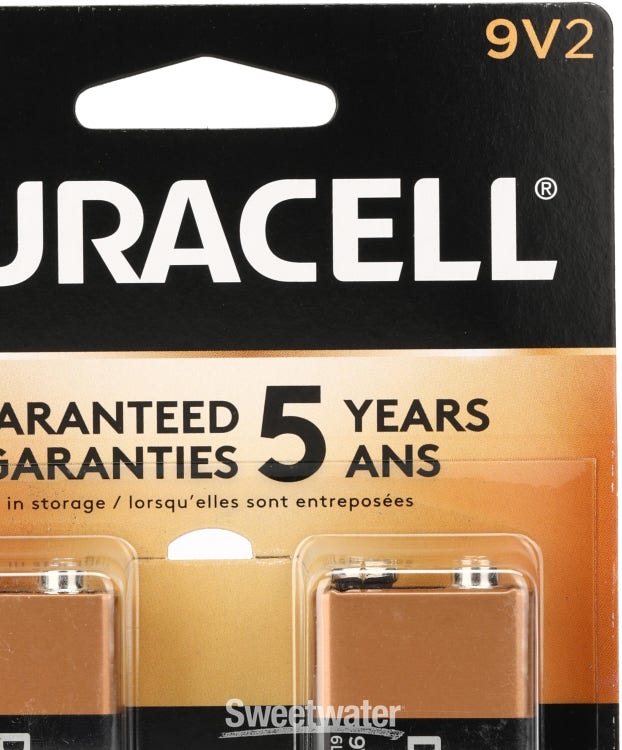 Duracell Coppertop 9V Alkaline Battery (2-pack)