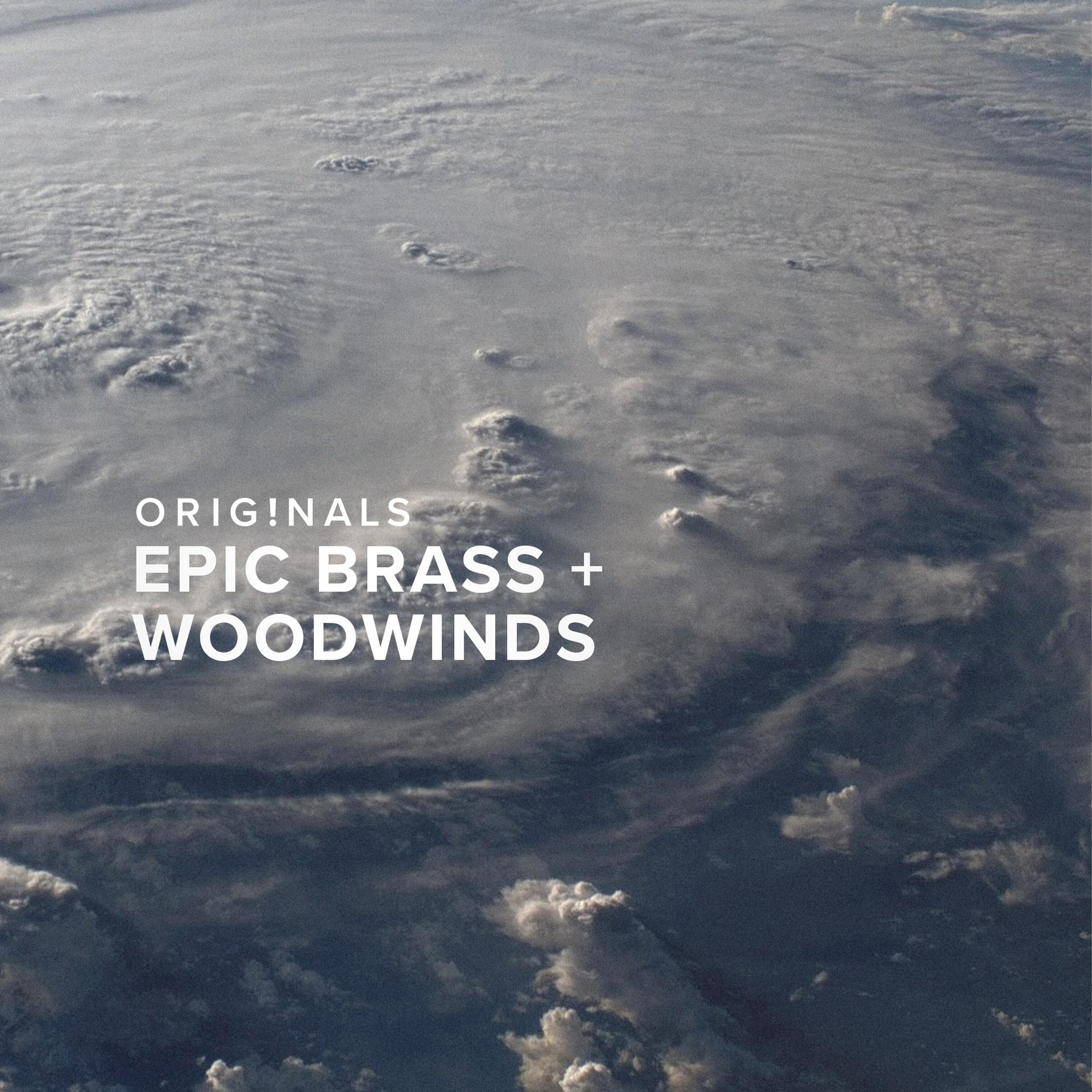 Bundled Item: Spitfire Audio Originals Epic Brass and Woodwinds Plug-in
