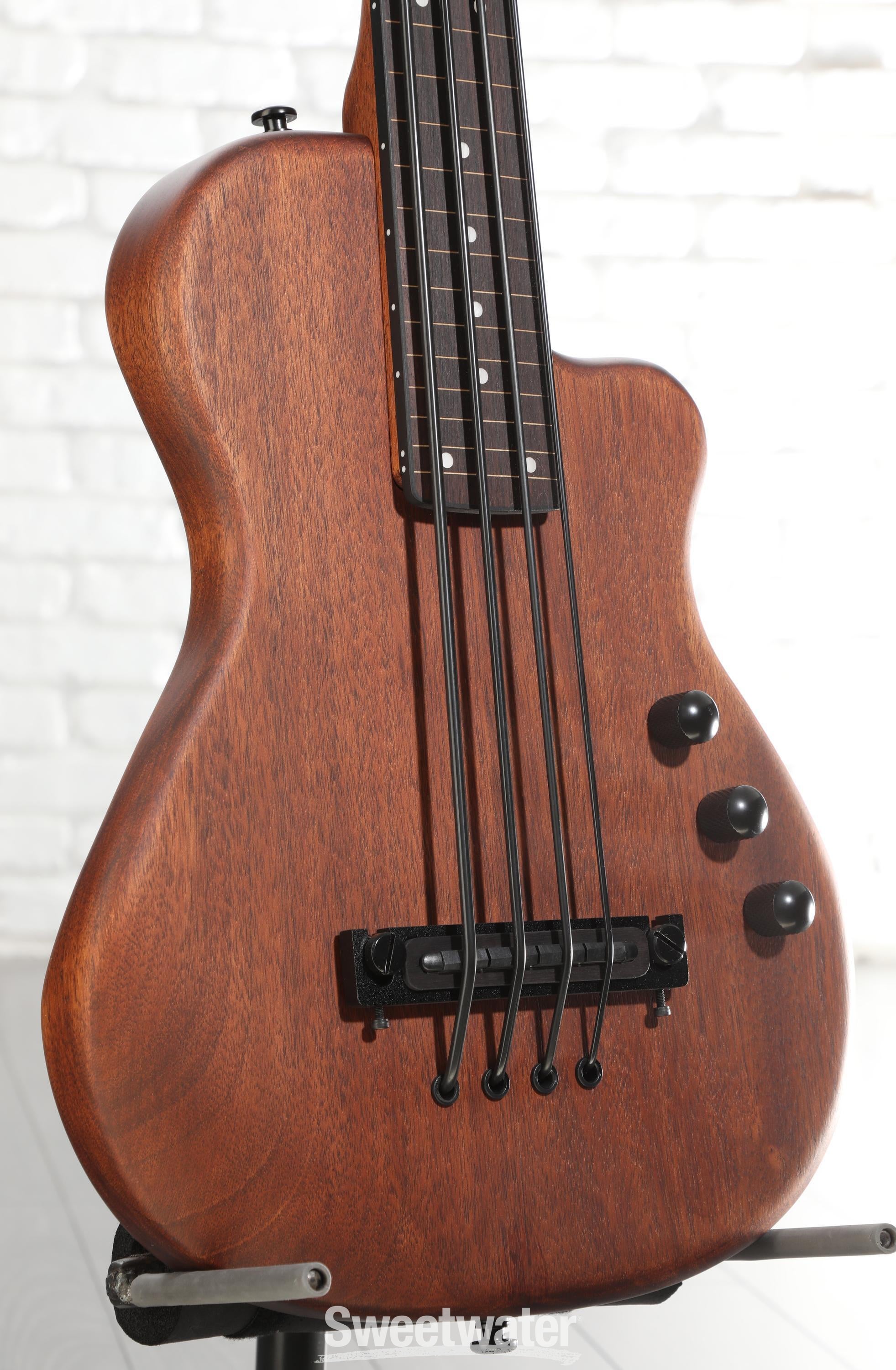 Photo of Gold Tone ME-BassFL 23-inch Scale Fretless Electric MicroBass - Natural