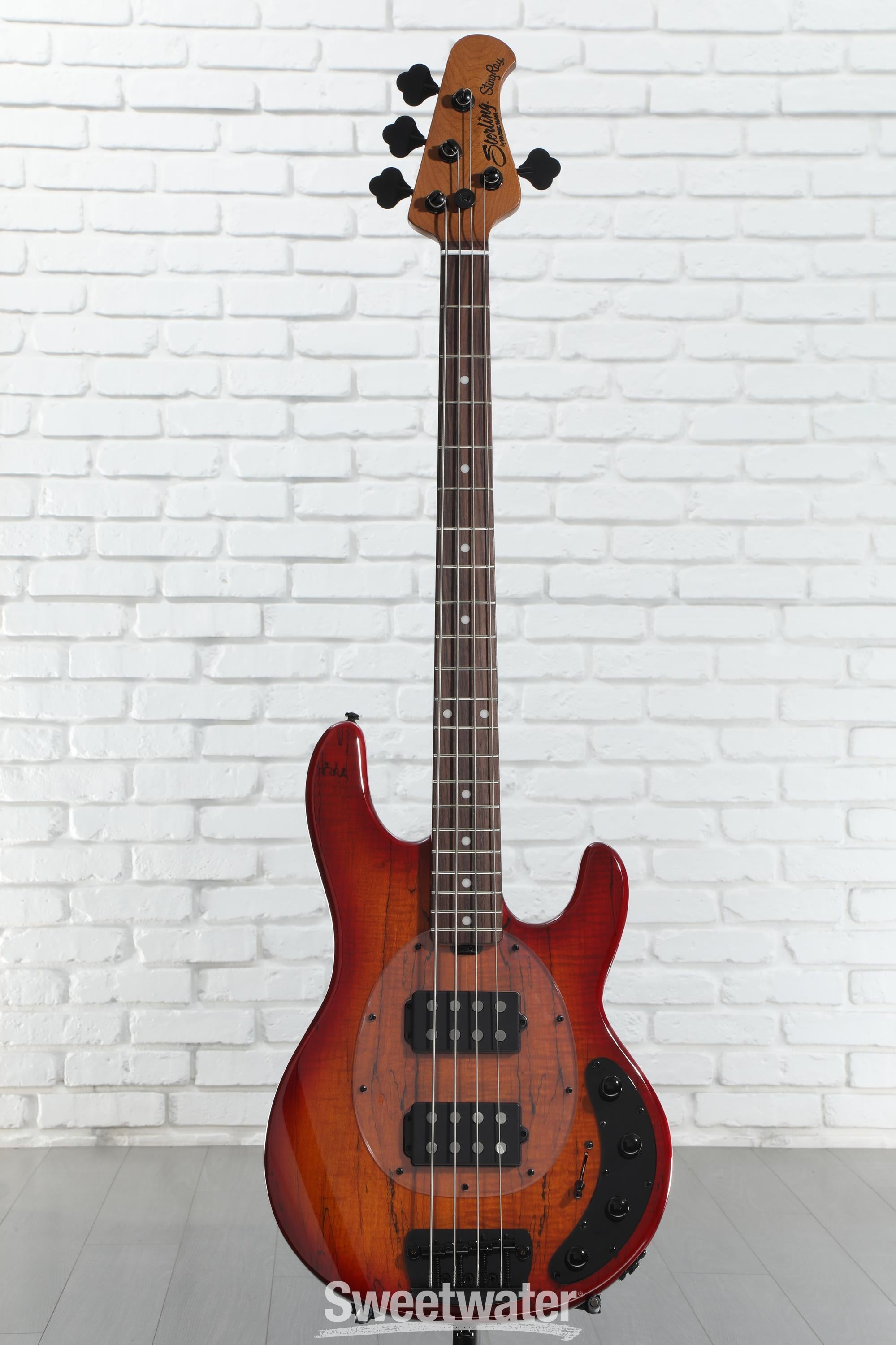 送料無料 いつまで RAY34HH StingRay Man Music By Sterling Bass Blood - Guitar 洋画・外国映画