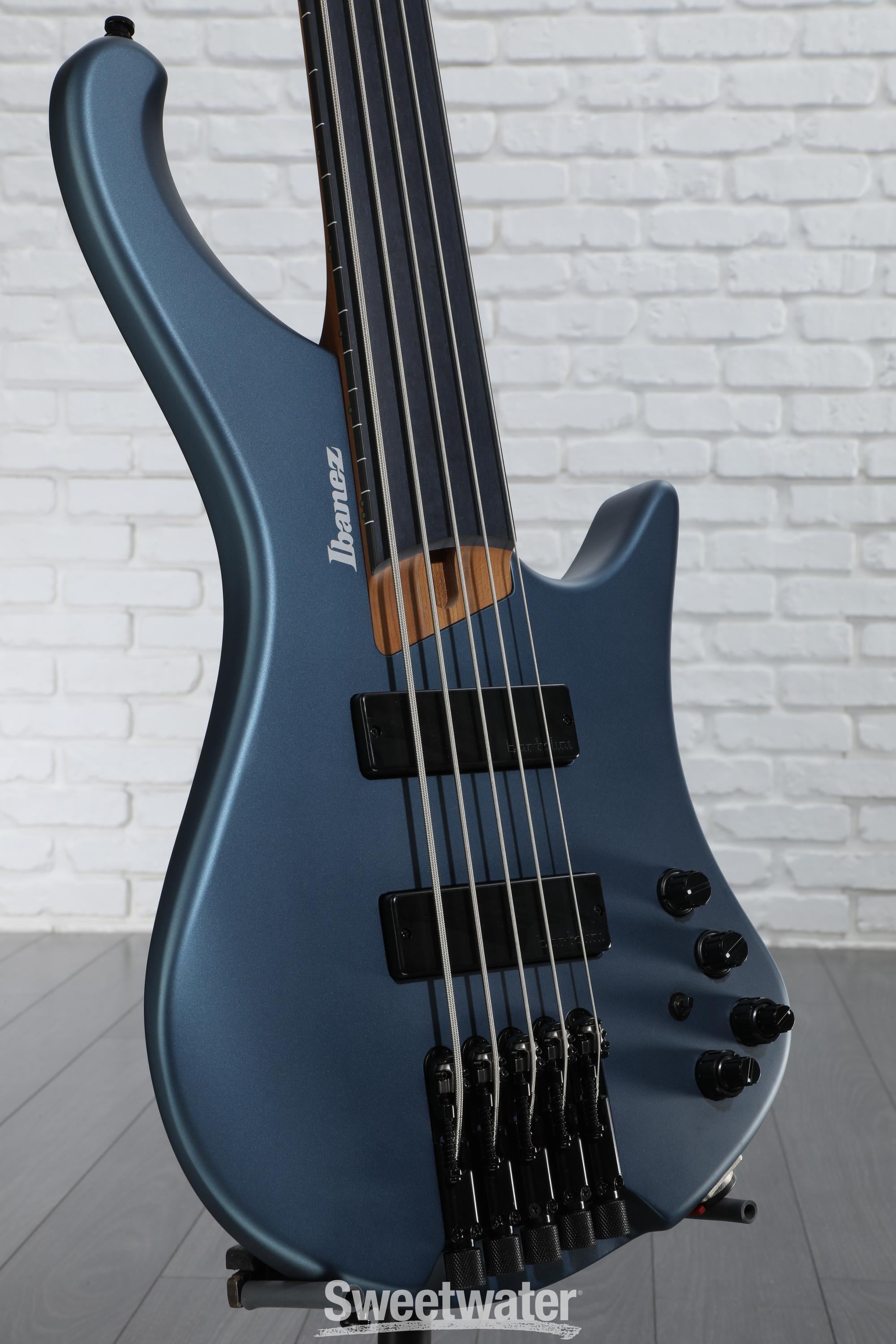 Ibanez Standard EHB1005F Fretless 5-string Bass Guitar